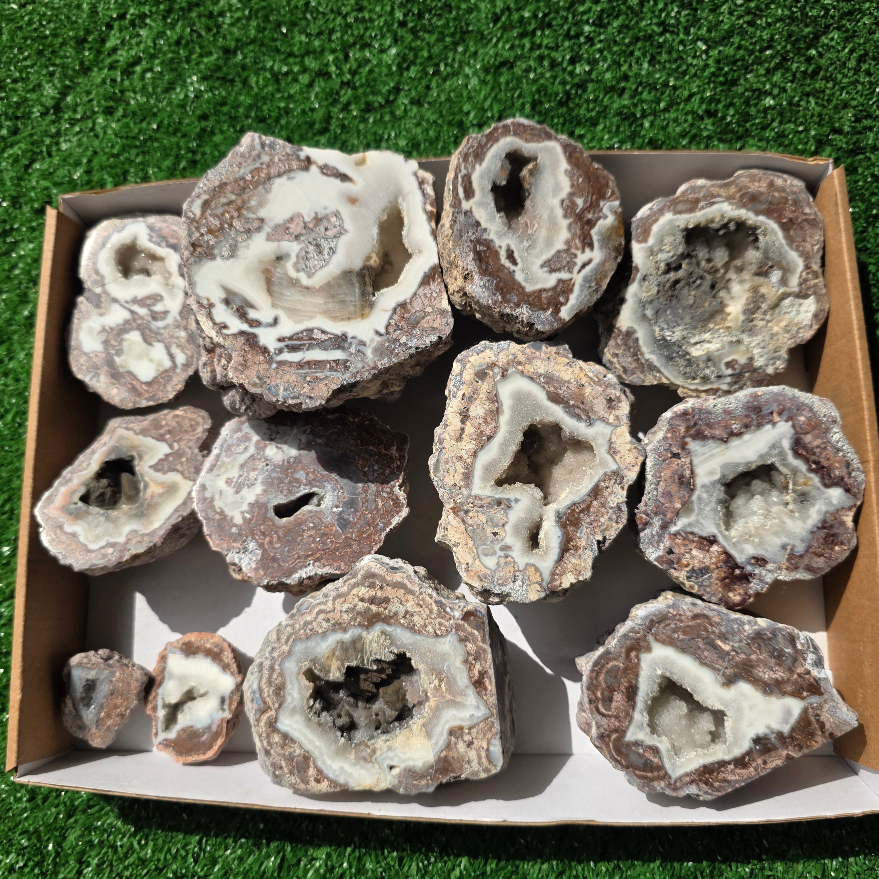 lot 12 pcs Quartz Geode