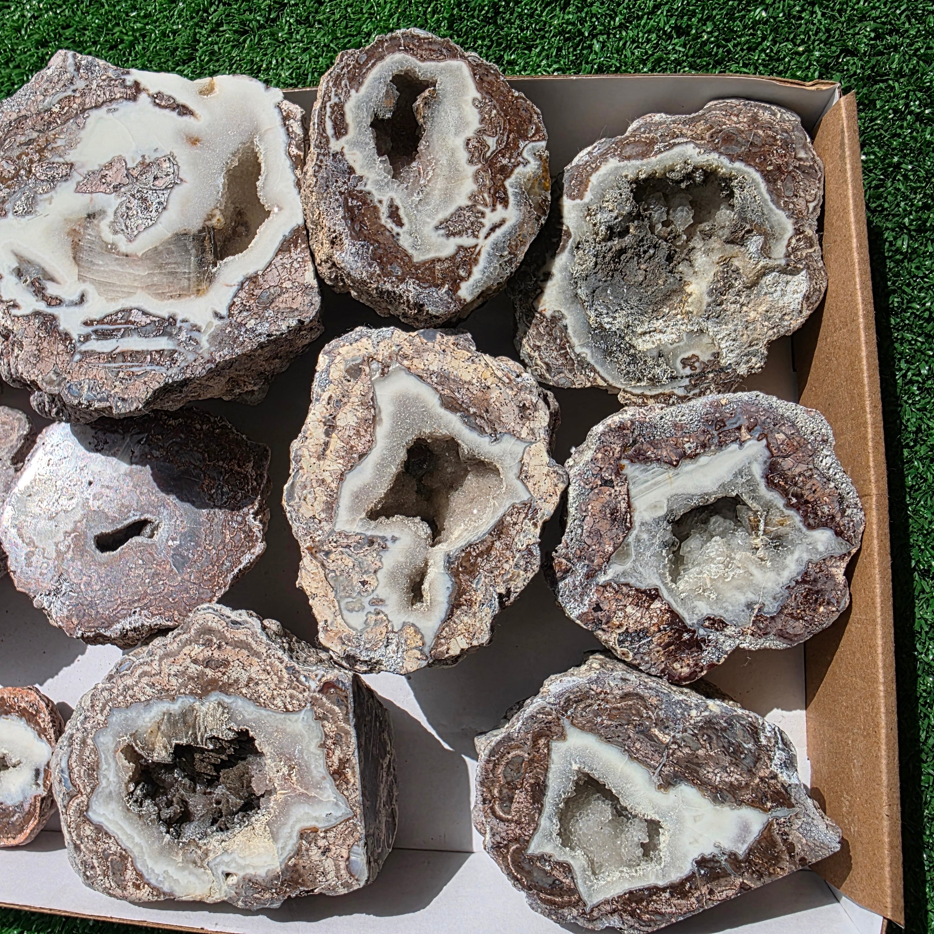lot 12 pcs Quartz Geode