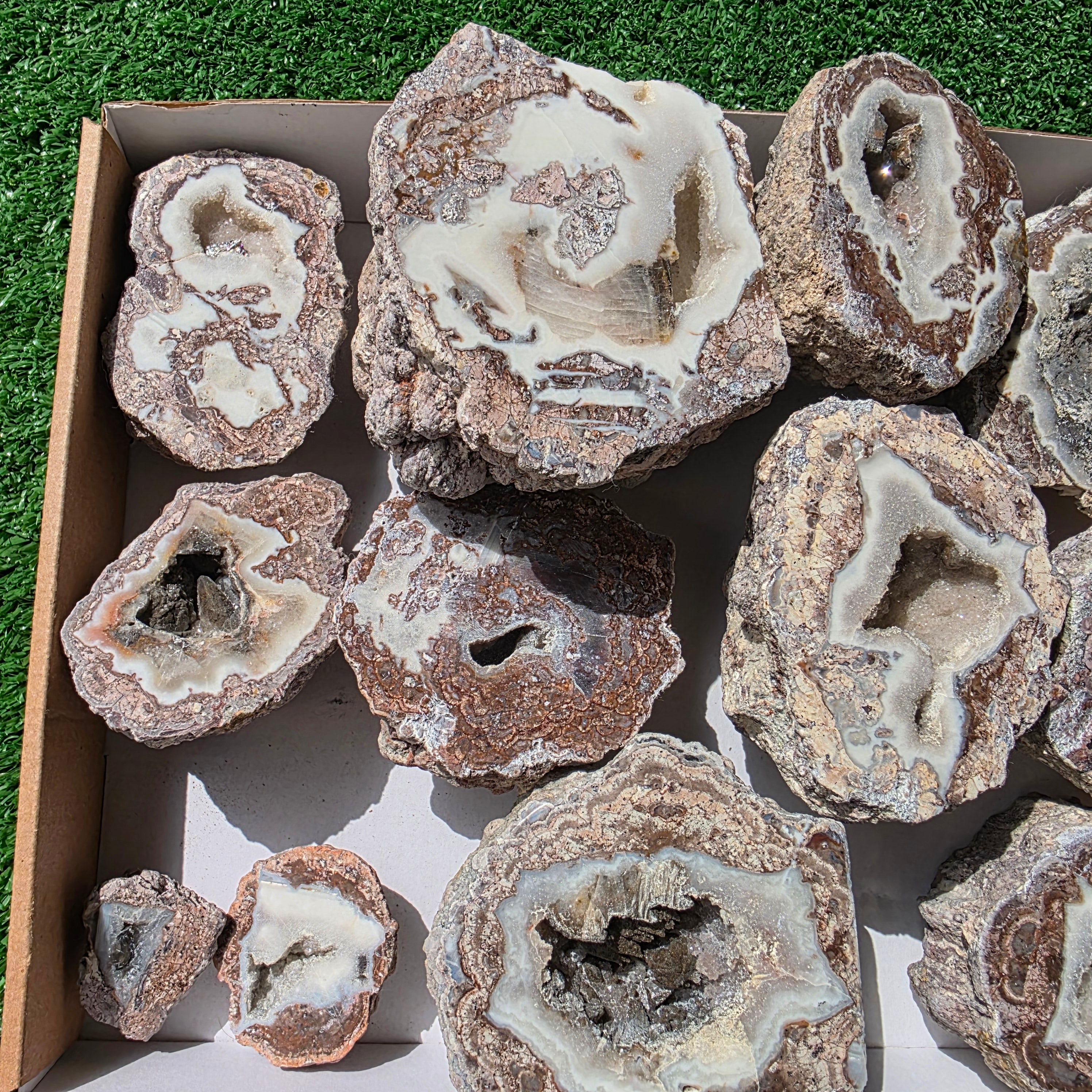 lot 12 pcs Quartz Geode