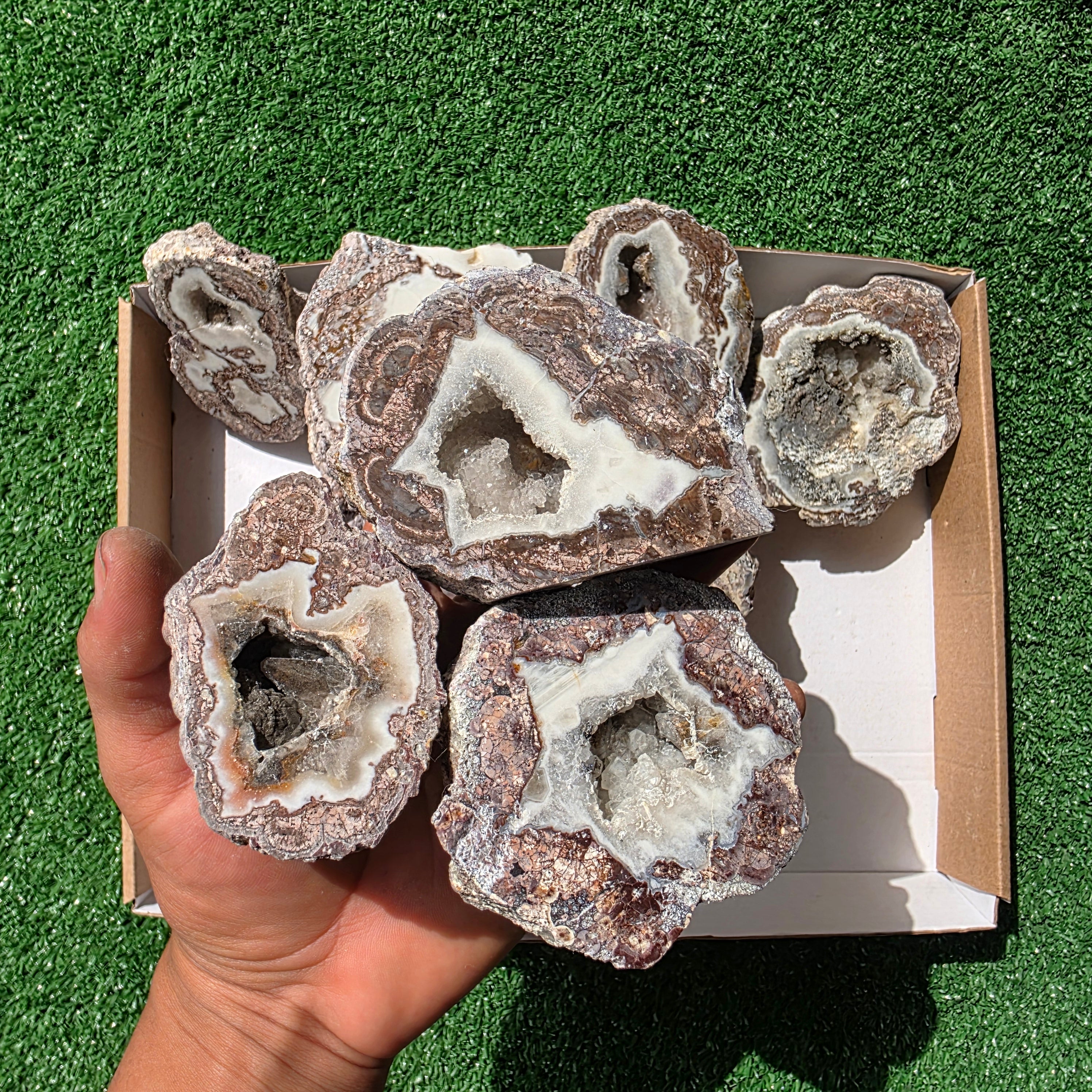 lot 12 pcs Quartz Geode