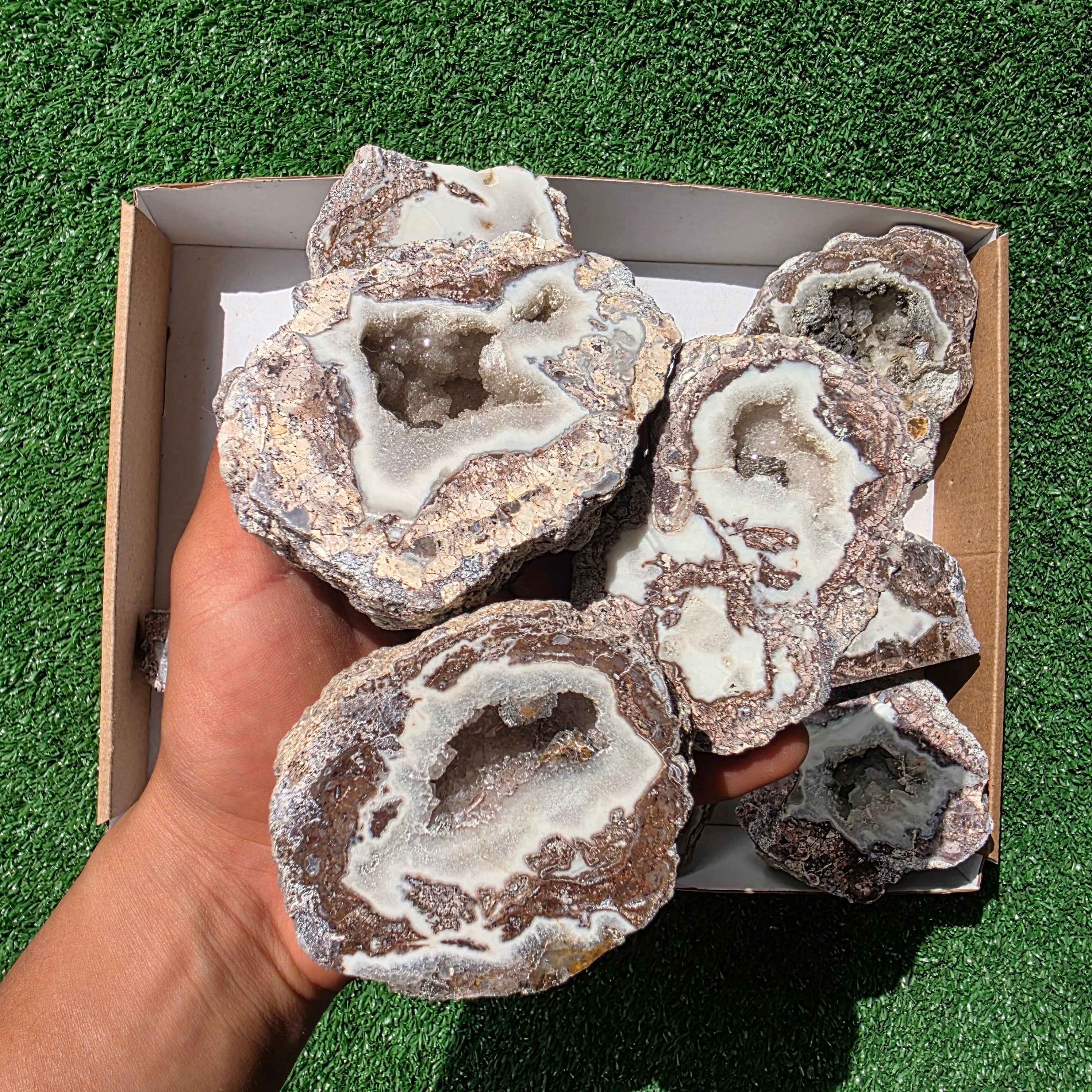 lot 12 pcs Quartz Geode