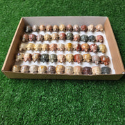 Lot 55 pcs Soapstone Turtle