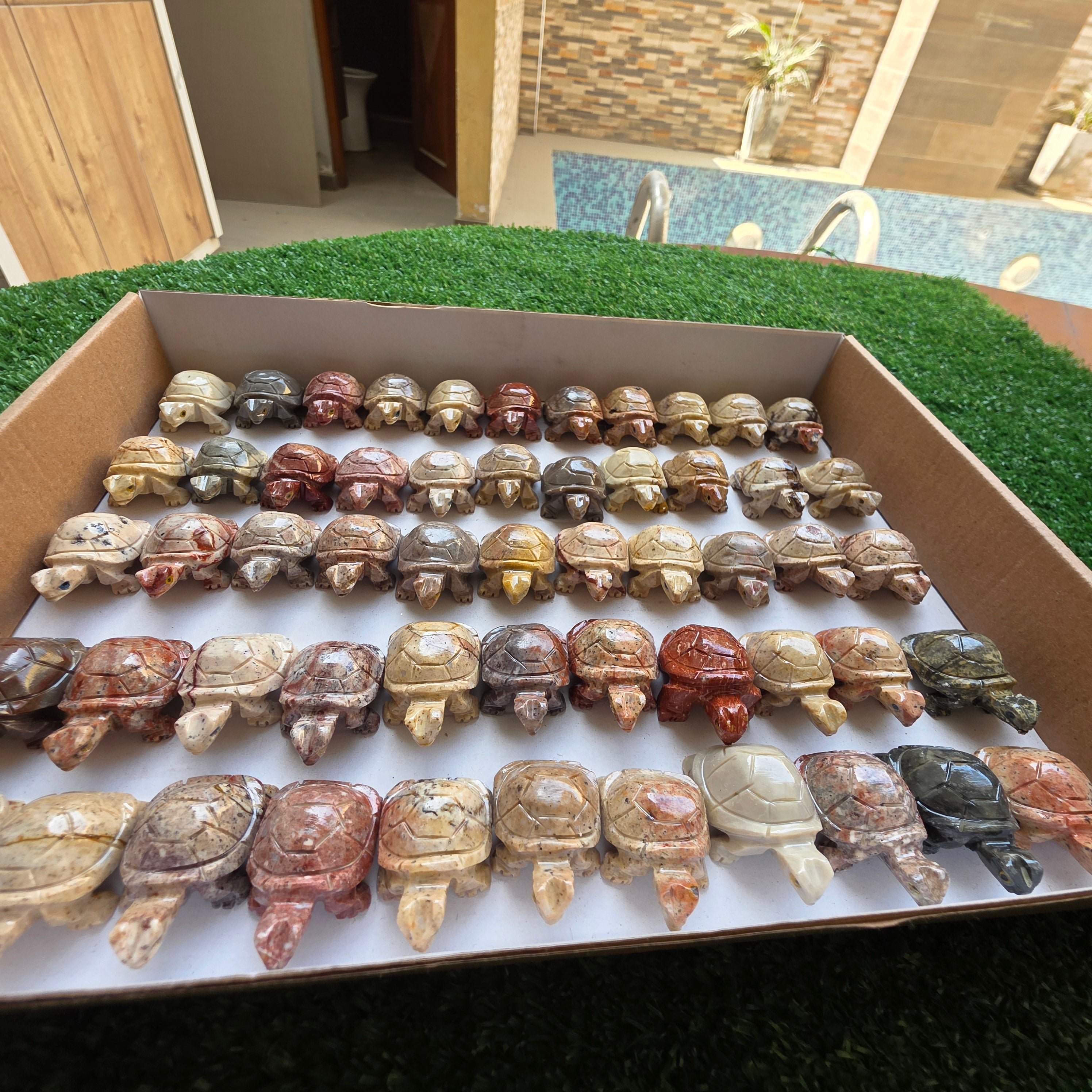 Lot 55 pcs Soapstone Turtle