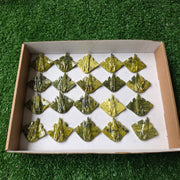 Lot 20 pcs Serpentine Stingray