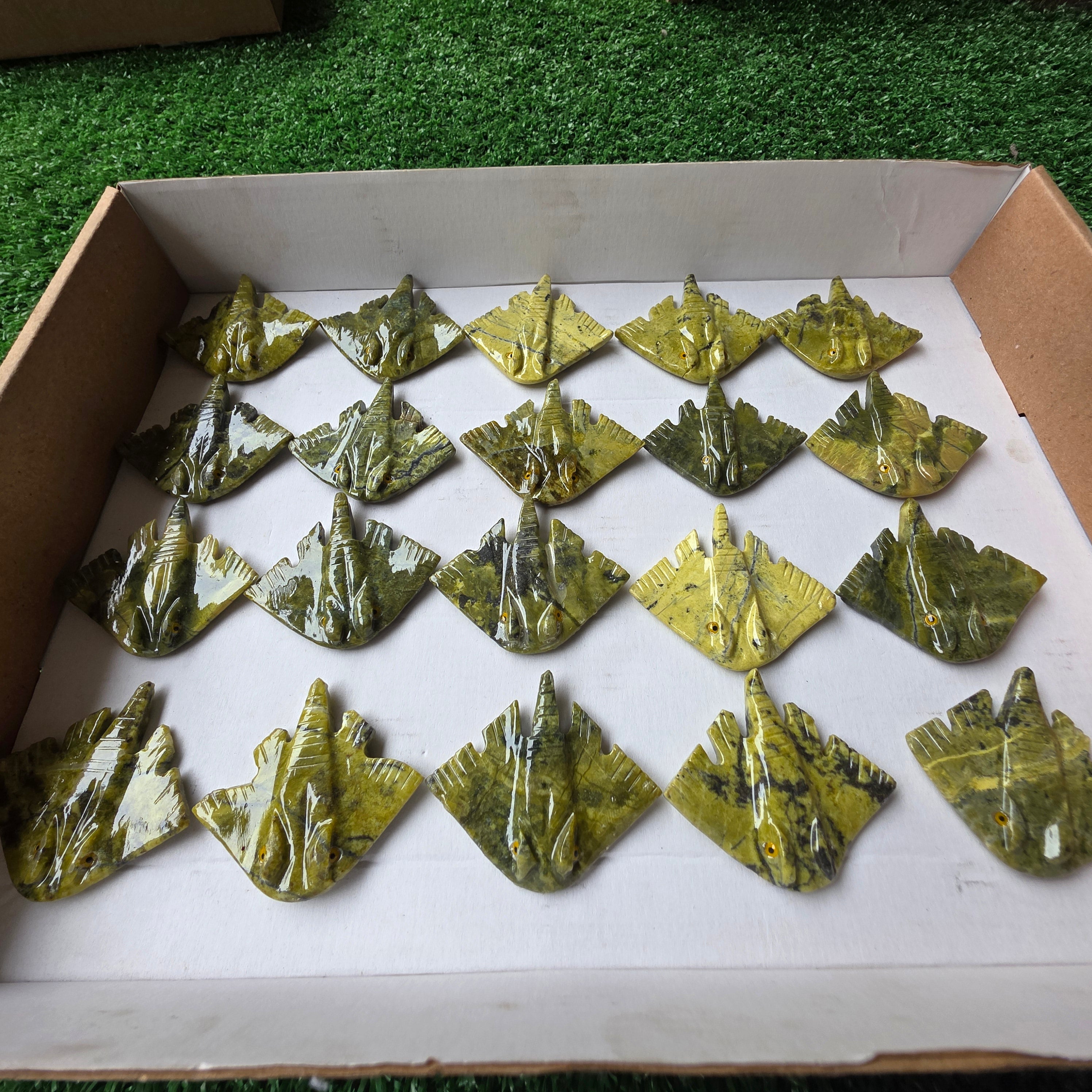 Lot 20 pcs Serpentine Stingray