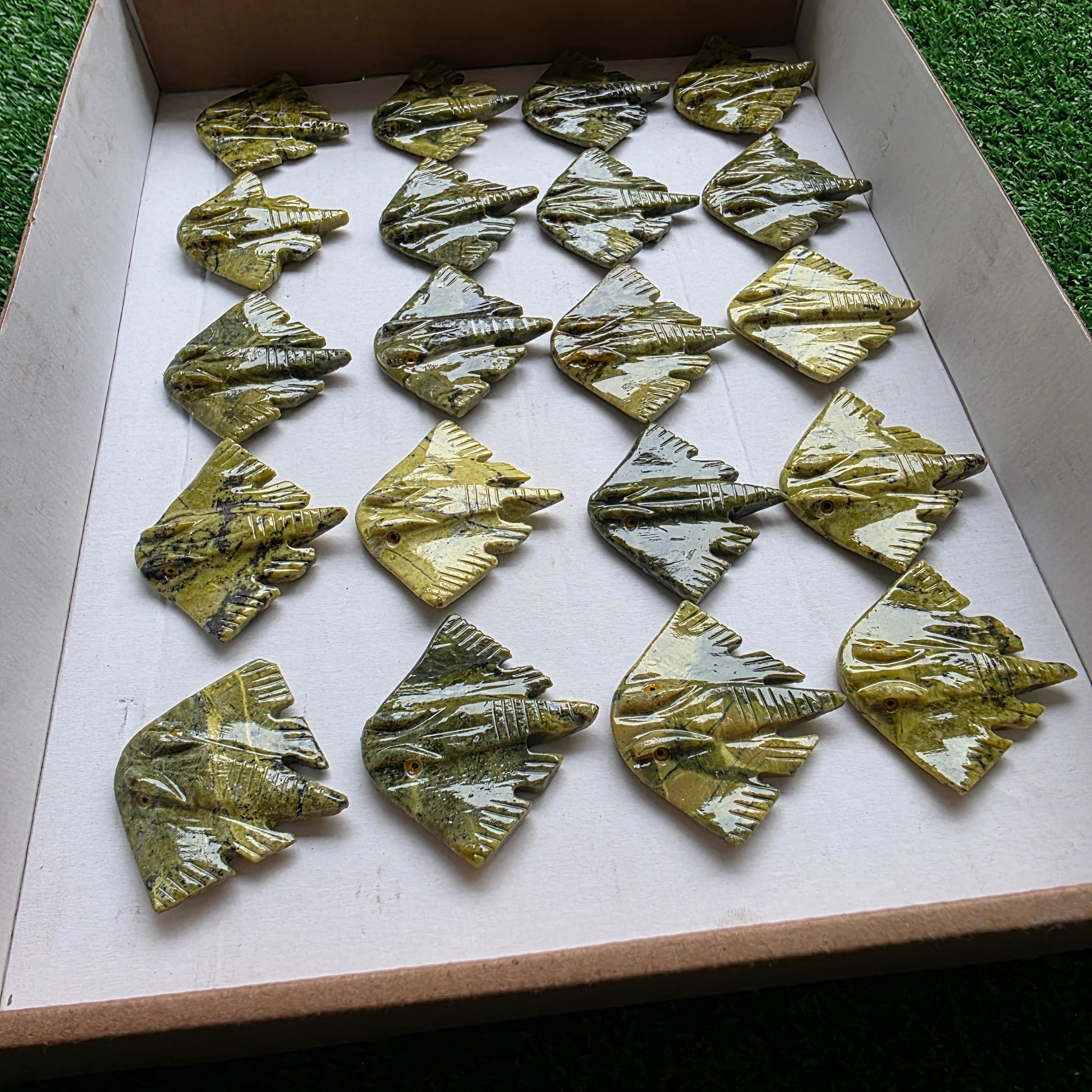 Lot 20 pcs Serpentine Stingray