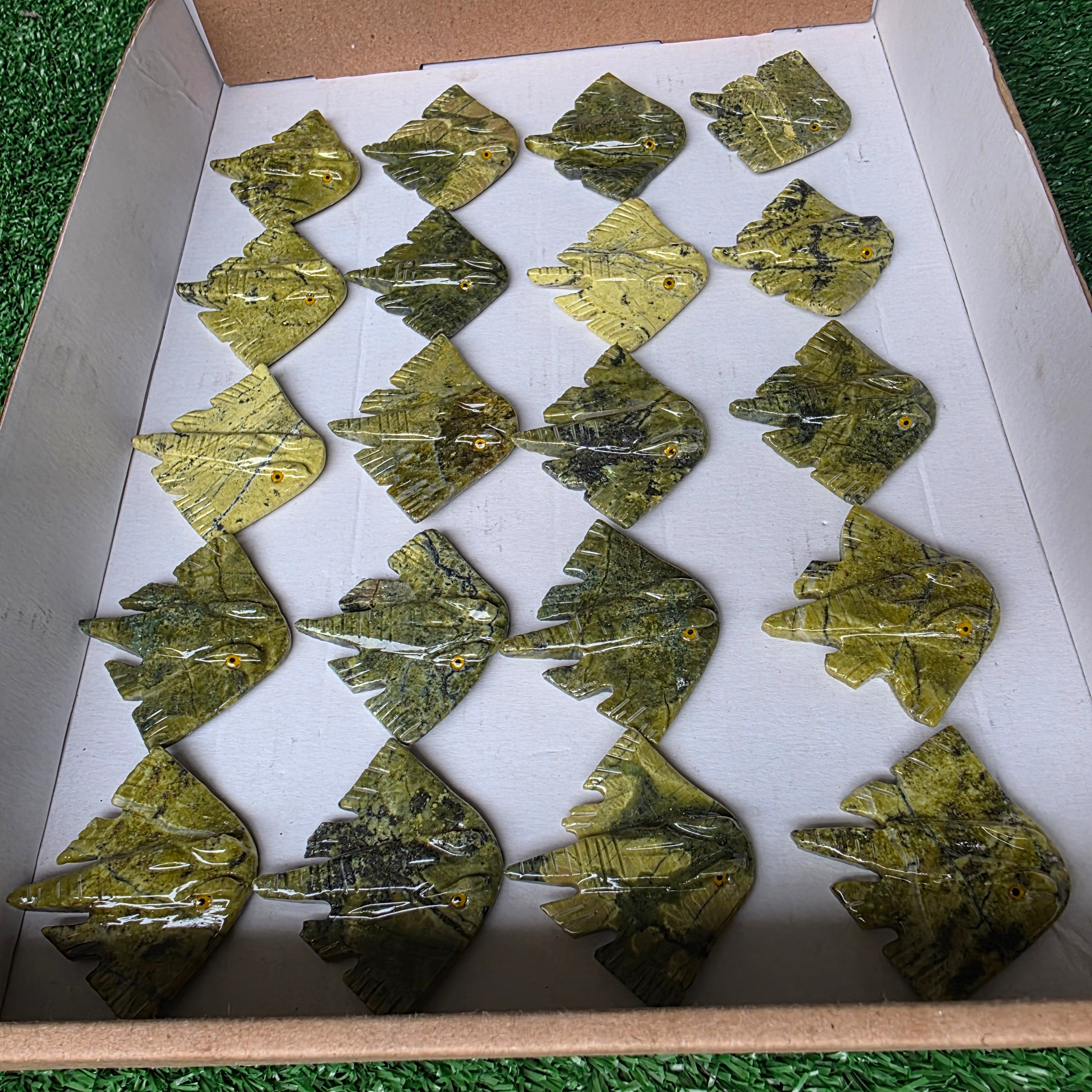 Lot 20 pcs Serpentine Stingray