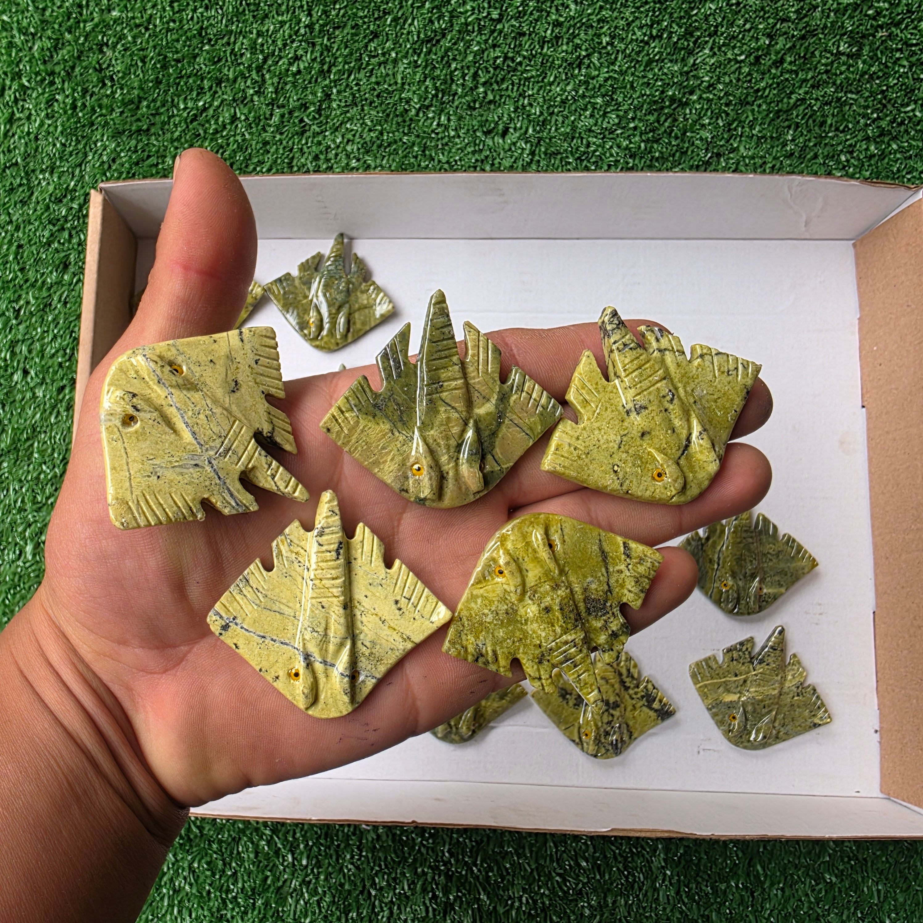 Lot 20 pcs Serpentine Stingray