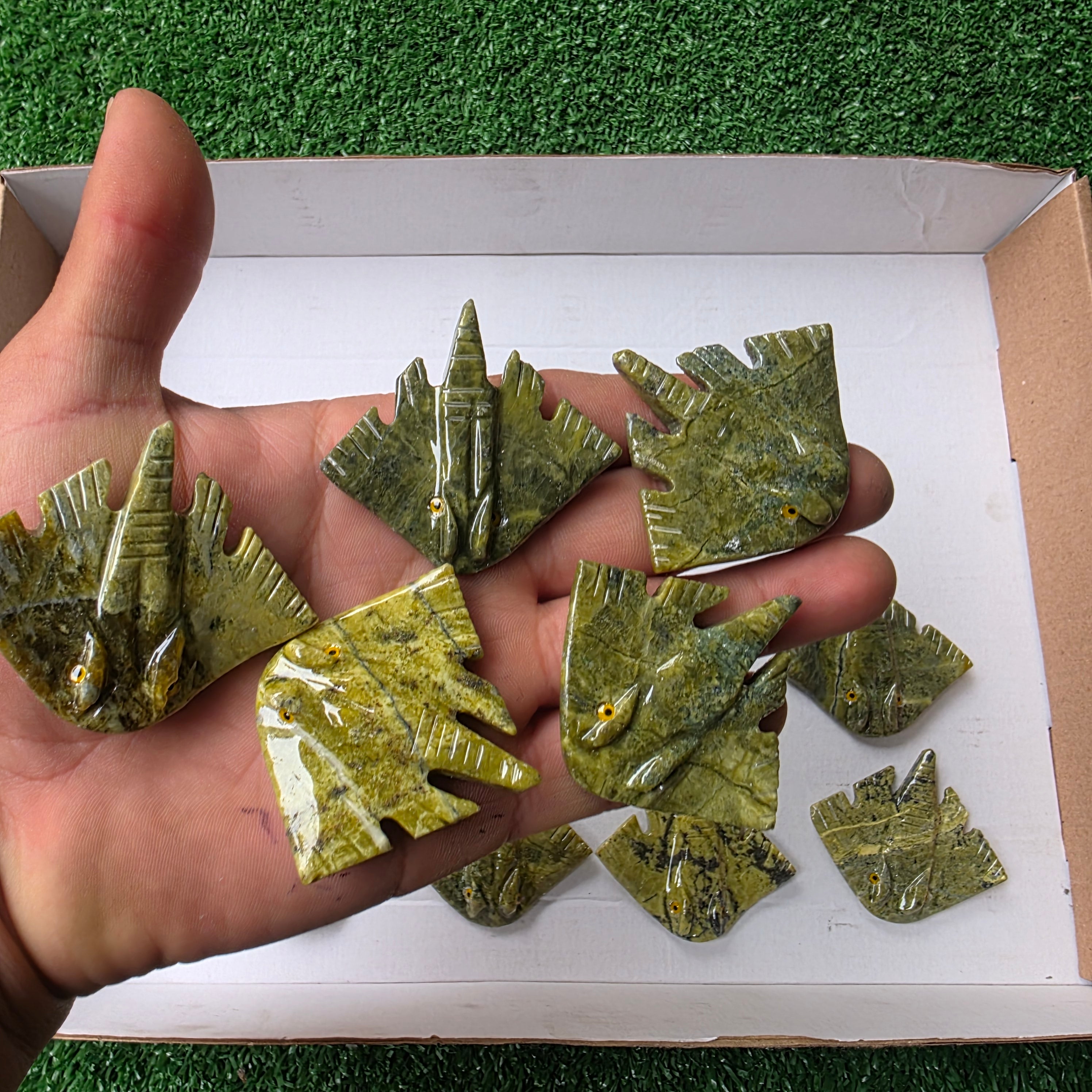 Lot 20 pcs Serpentine Stingray