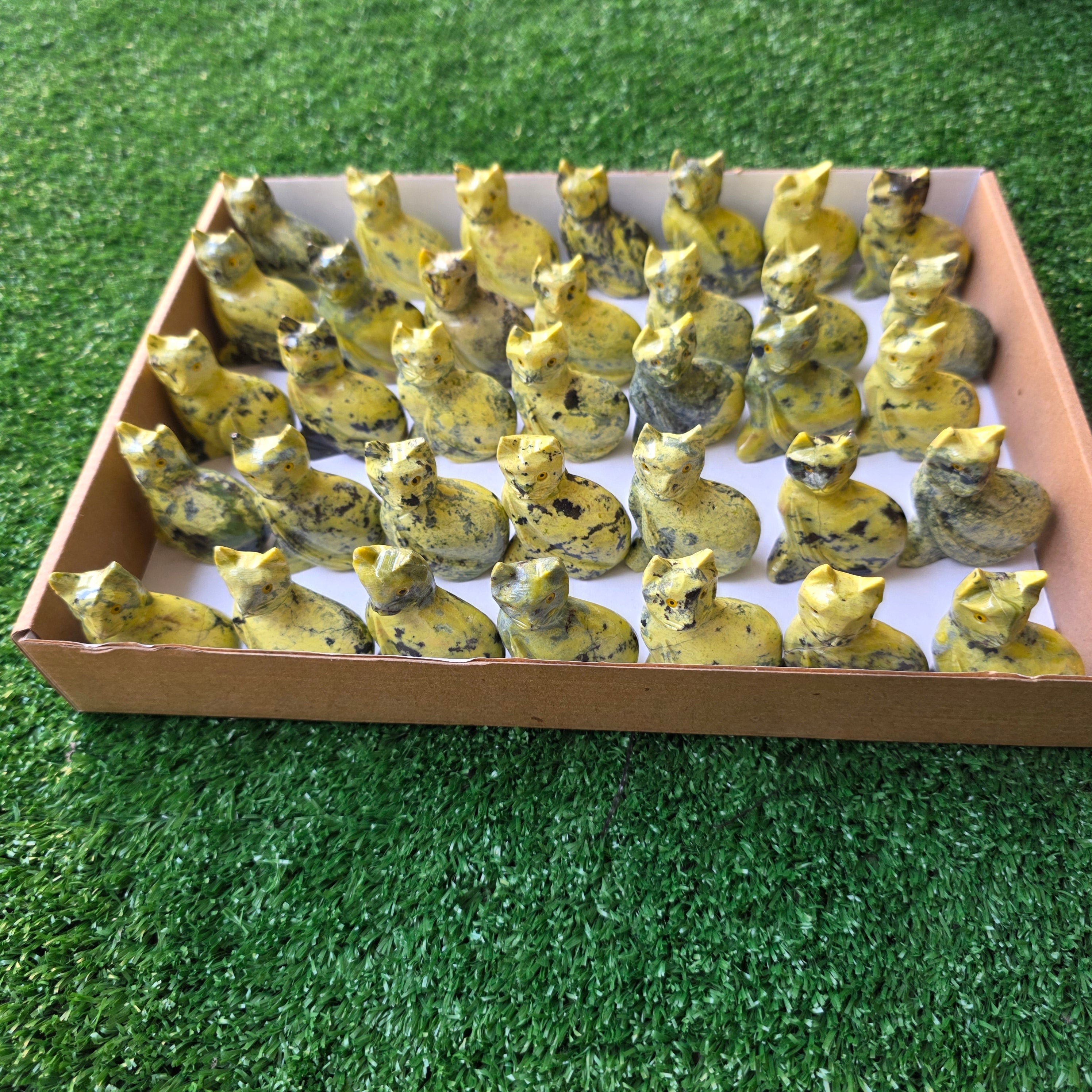 Lot 35 pcs Serpentine Cat