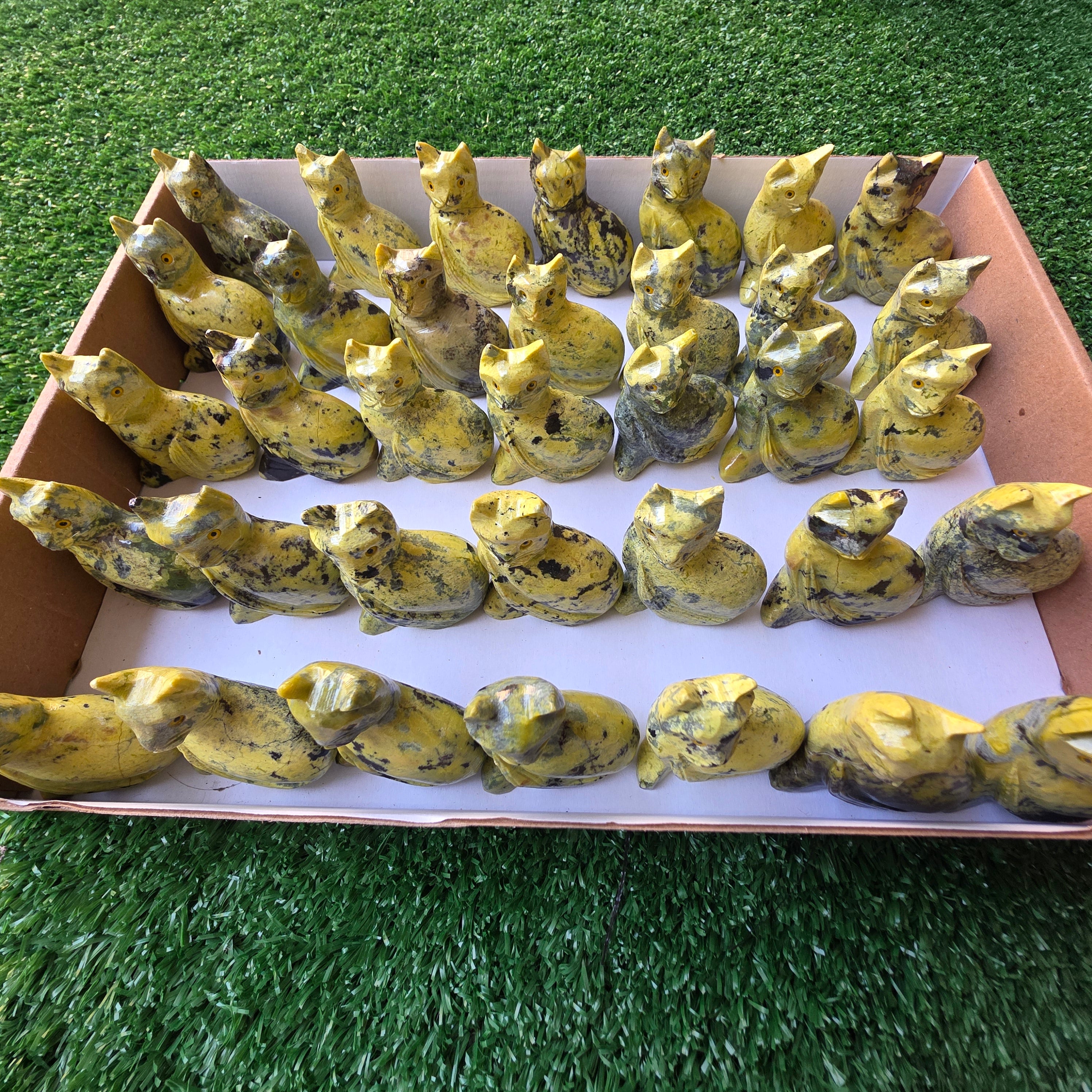 Lot 35 pcs Serpentine Cat