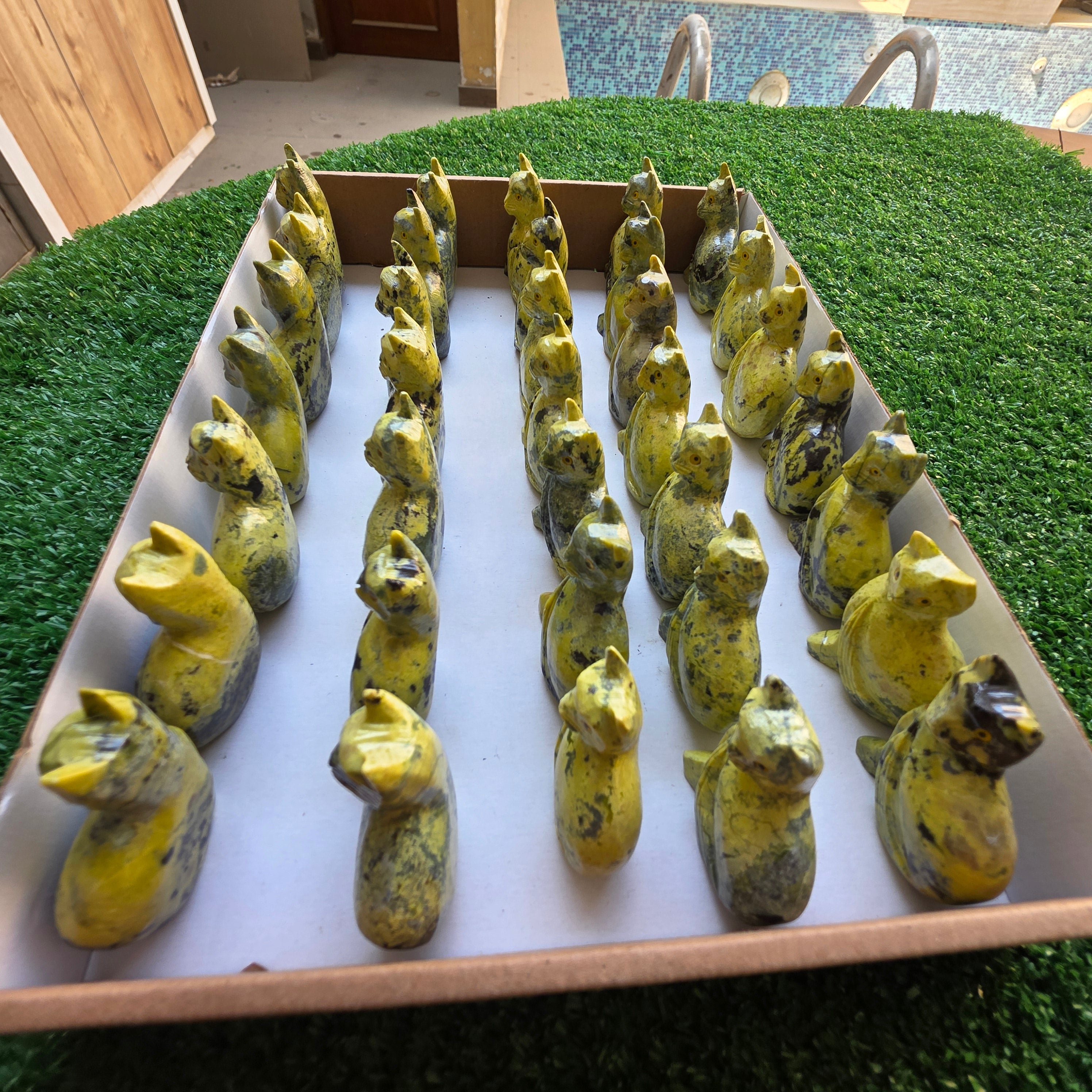 Lot 35 pcs Serpentine Cat