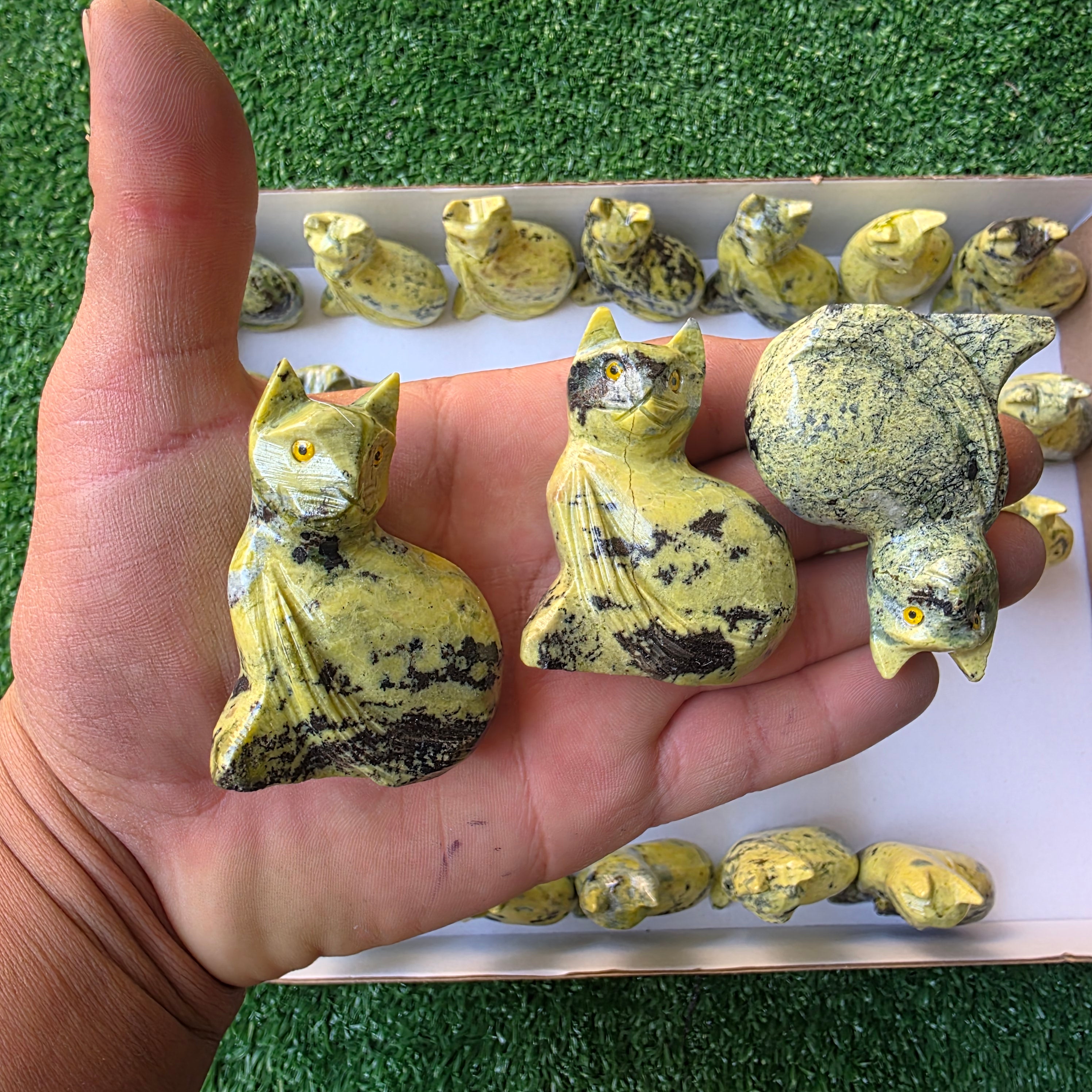 Lot 35 pcs Serpentine Cat