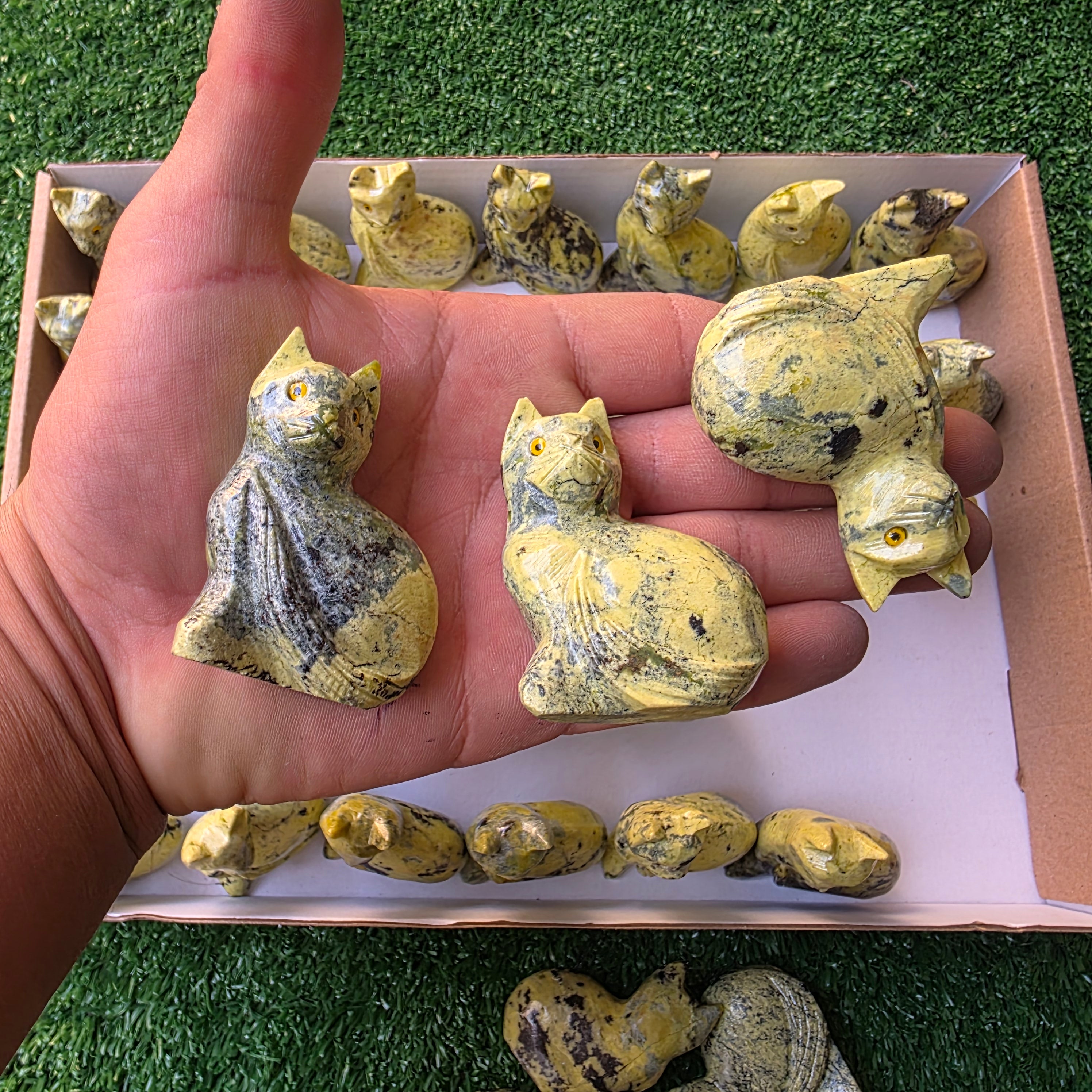 Lot 35 pcs Serpentine Cat