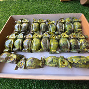 Lot 21 pcs Serpentine owl