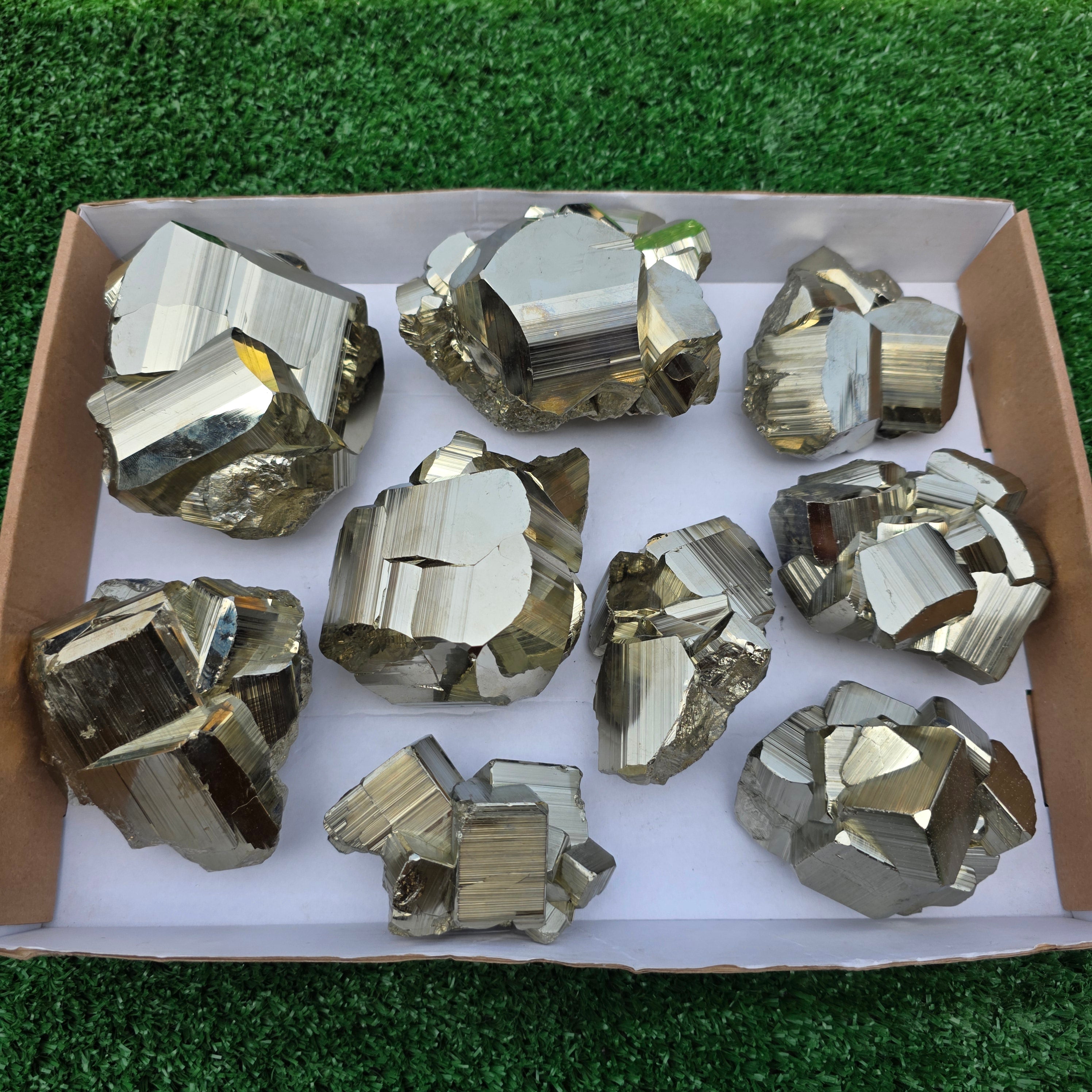 Lot 9 pcs Pyrite Coco Rough