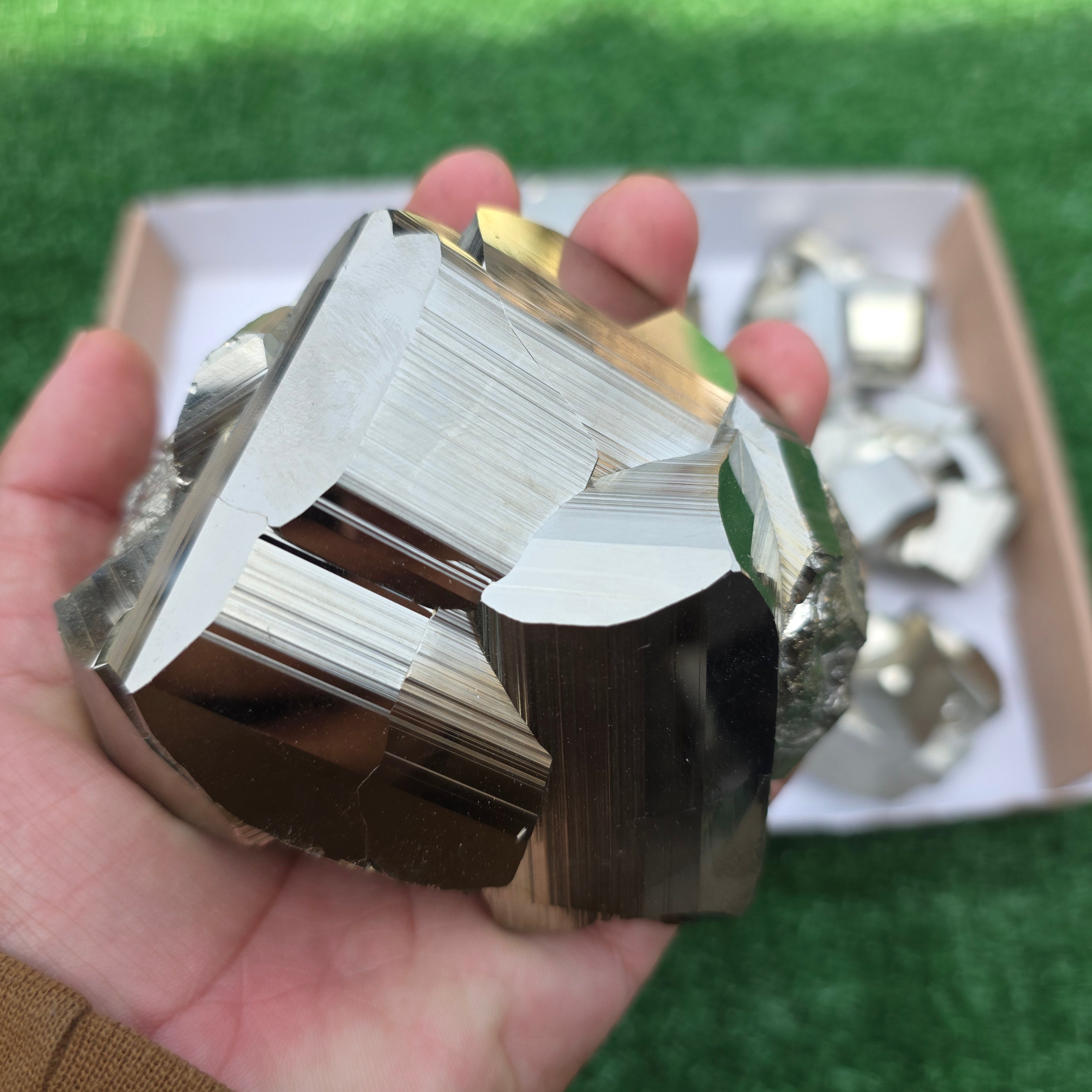 Lot 9 pcs Pyrite Coco Rough