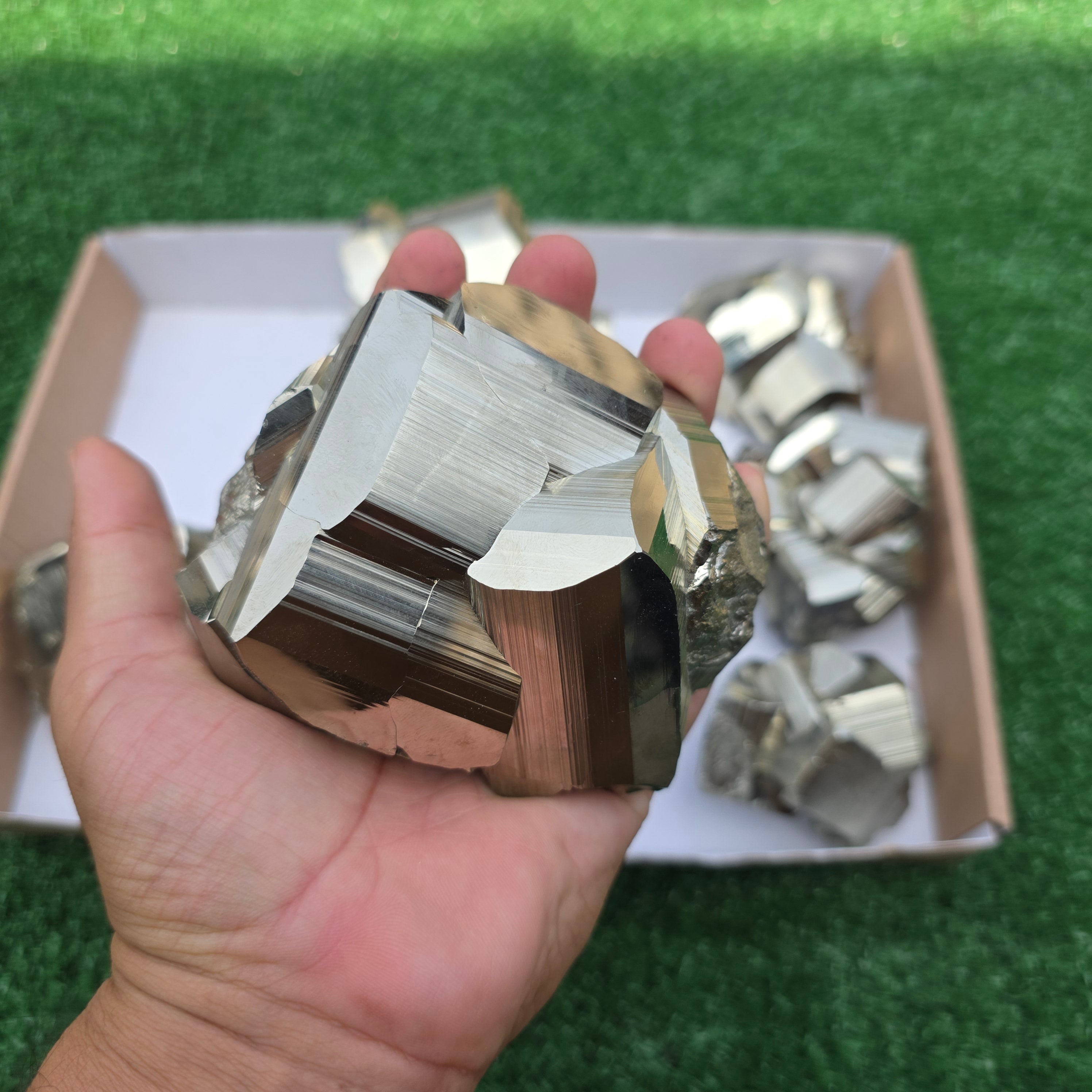 Lot 9 pcs Pyrite Coco Rough