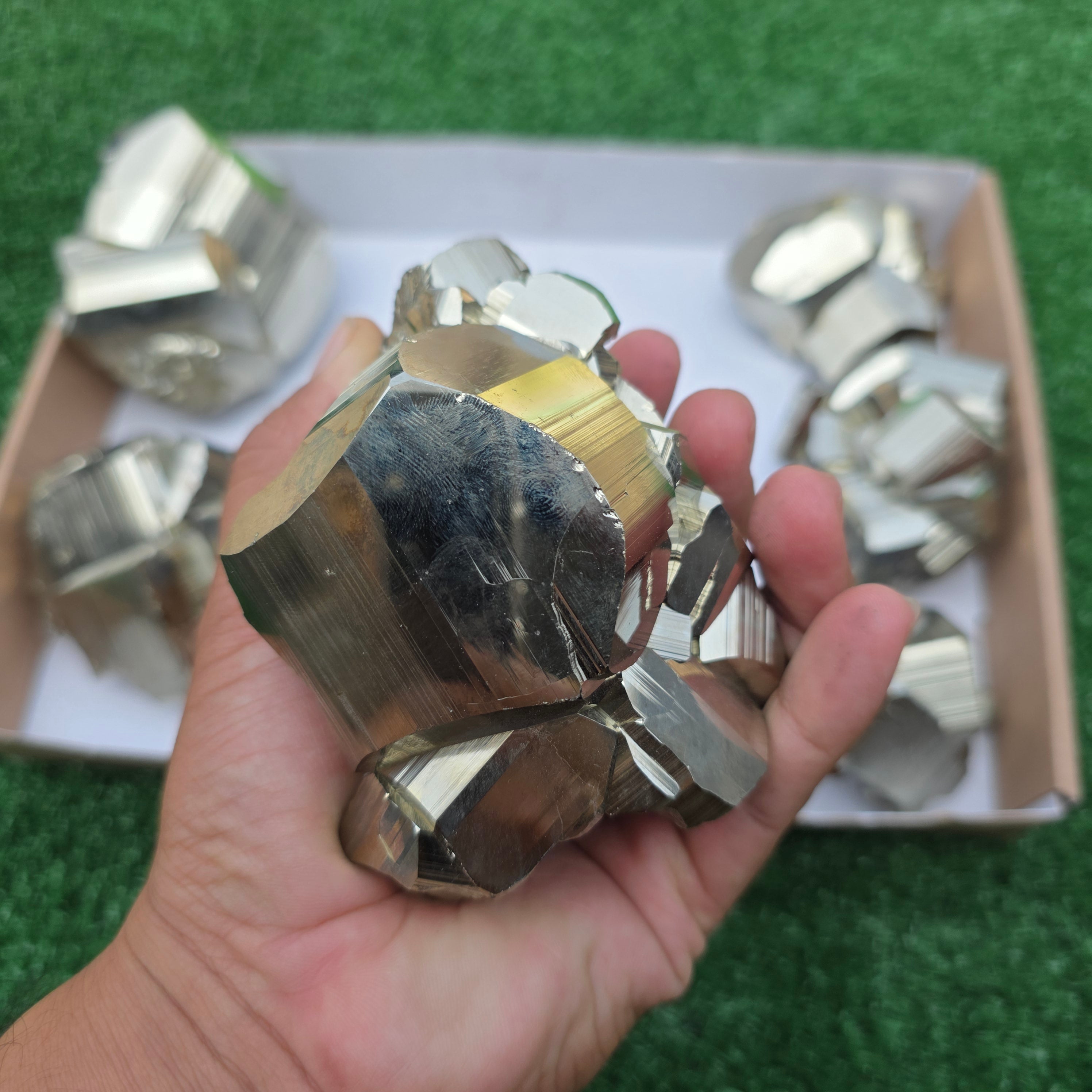 Lot 9 pcs Pyrite Coco Rough