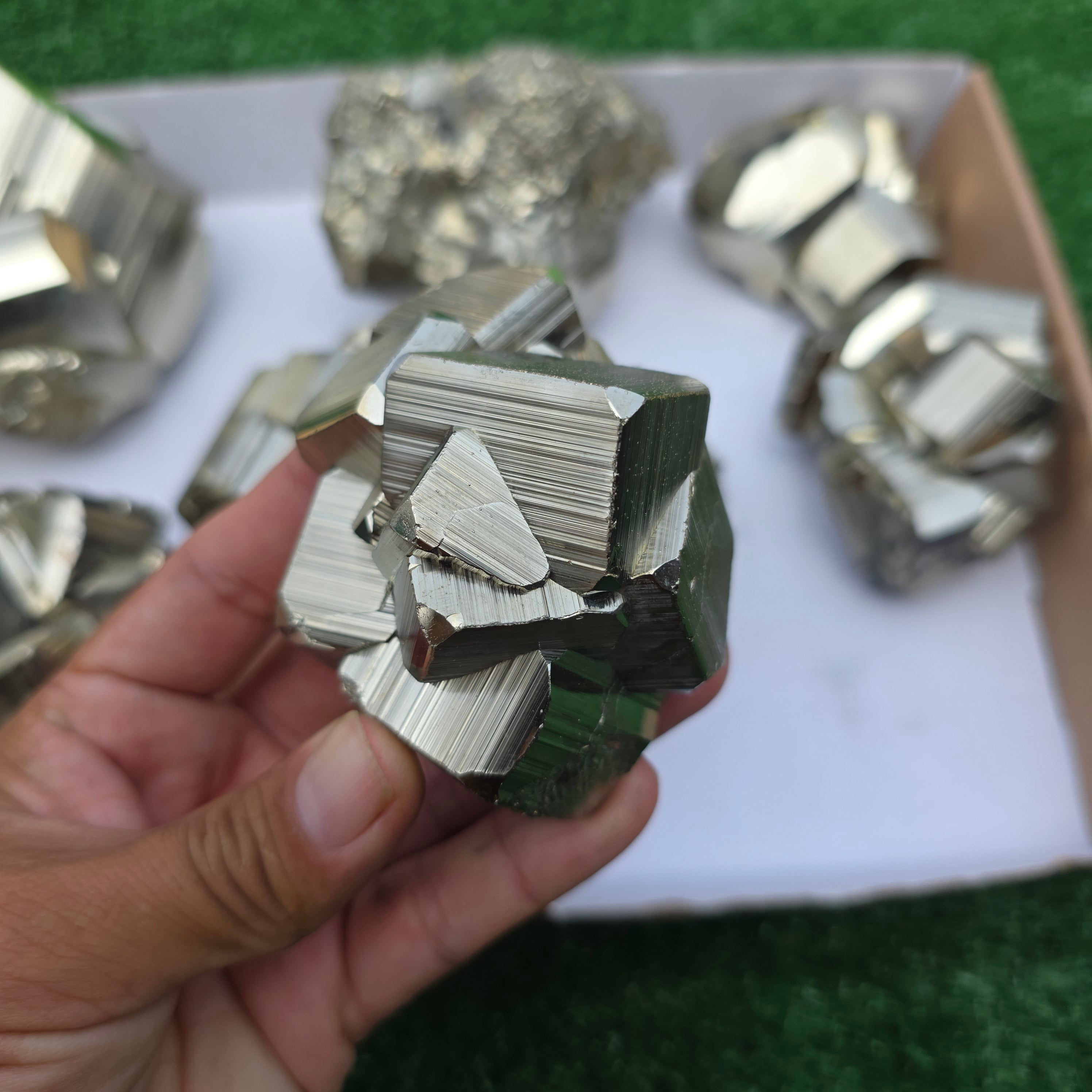 Lot 9 pcs Pyrite Coco Rough