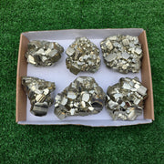 Lot 6 pcs Pyrite Coco Rough