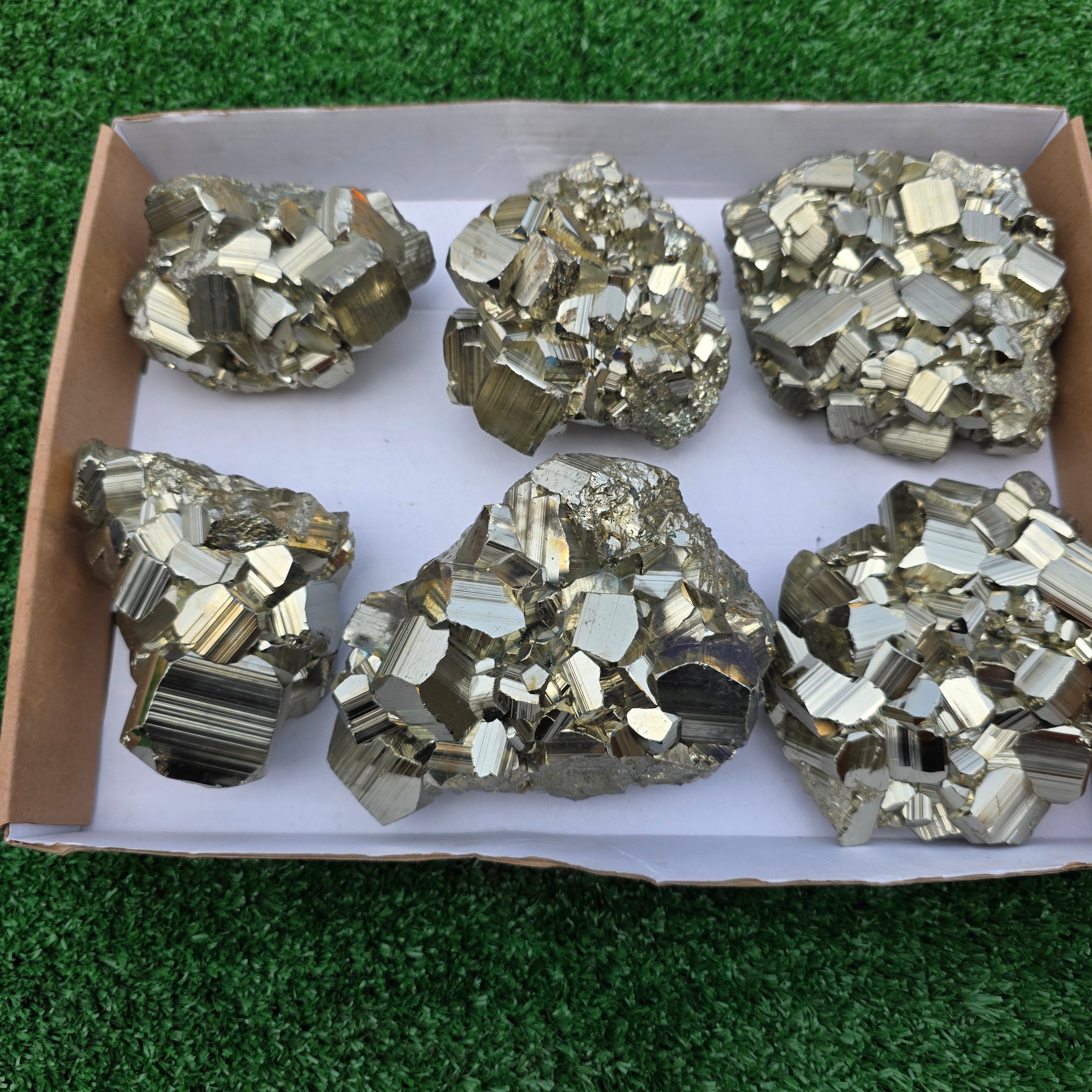 Lot 6 pcs Pyrite Coco Rough