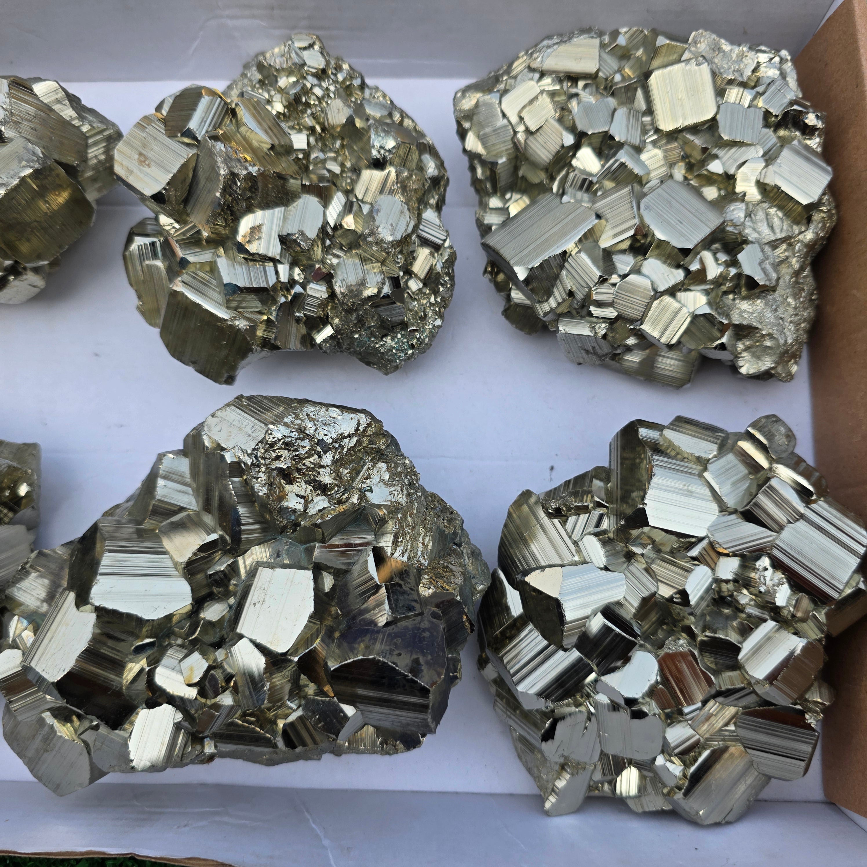 Lot 6 pcs Pyrite Coco Rough