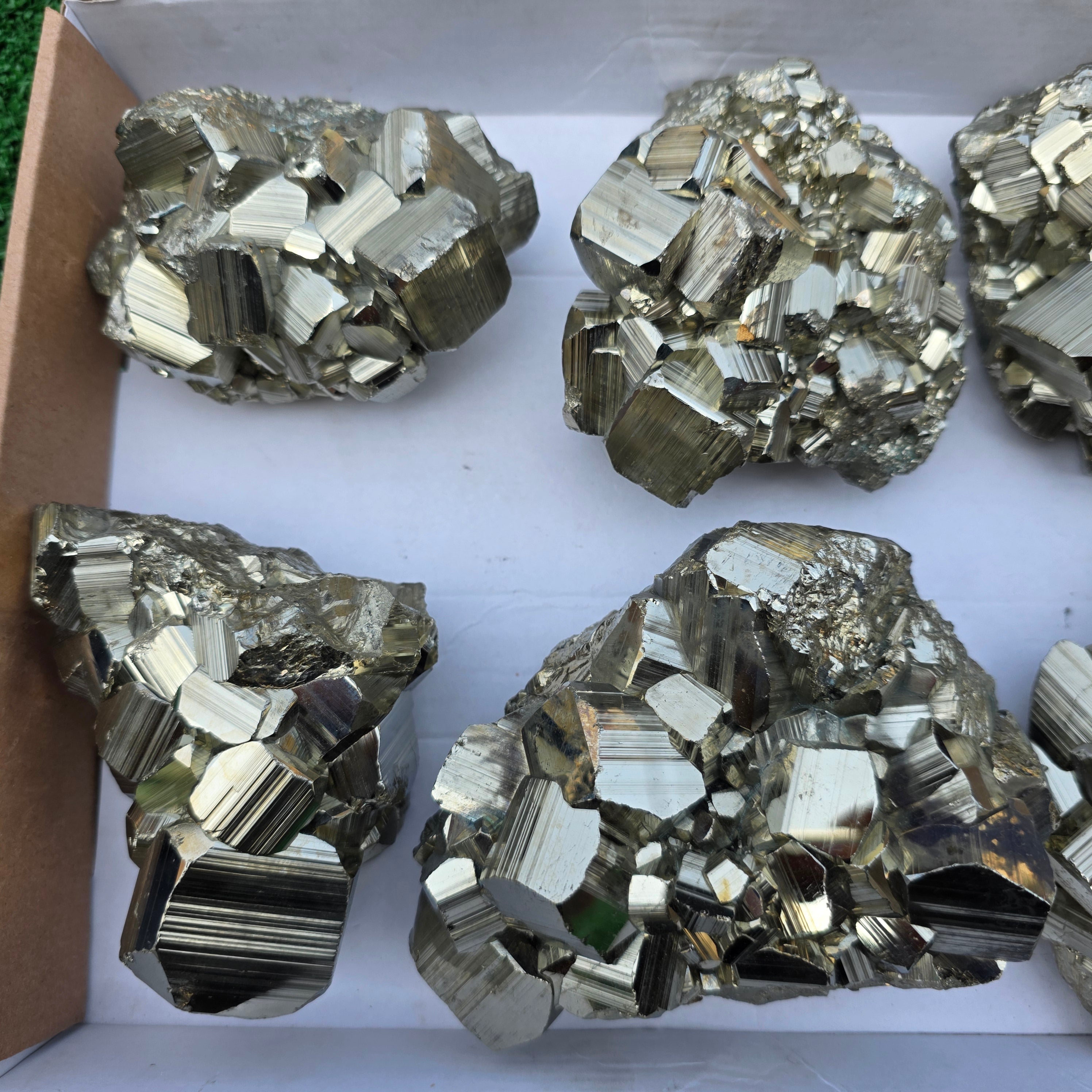 Lot 6 pcs Pyrite Coco Rough