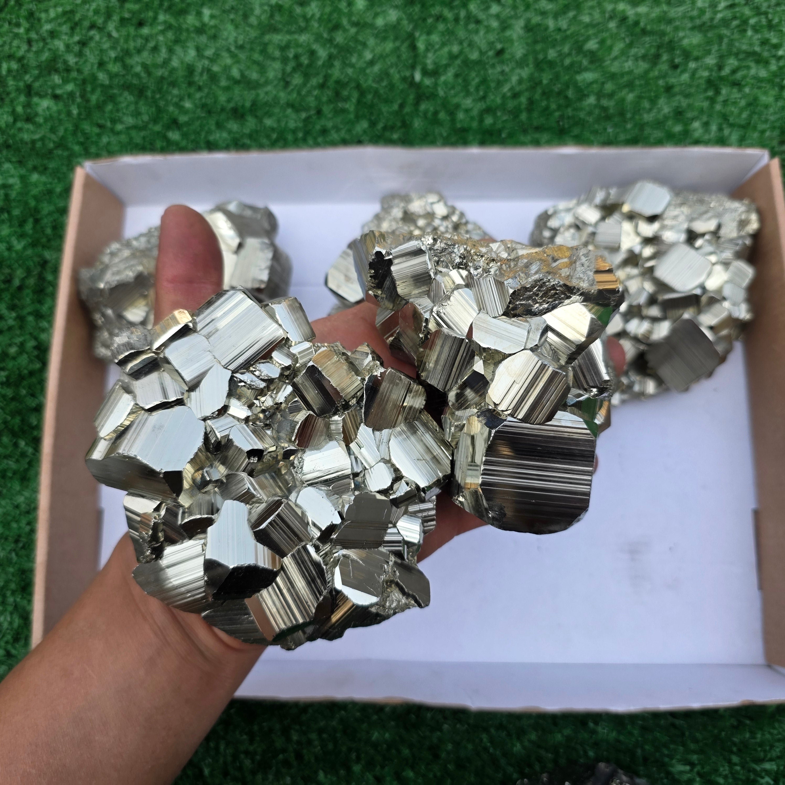 Lot 6 pcs Pyrite Coco Rough