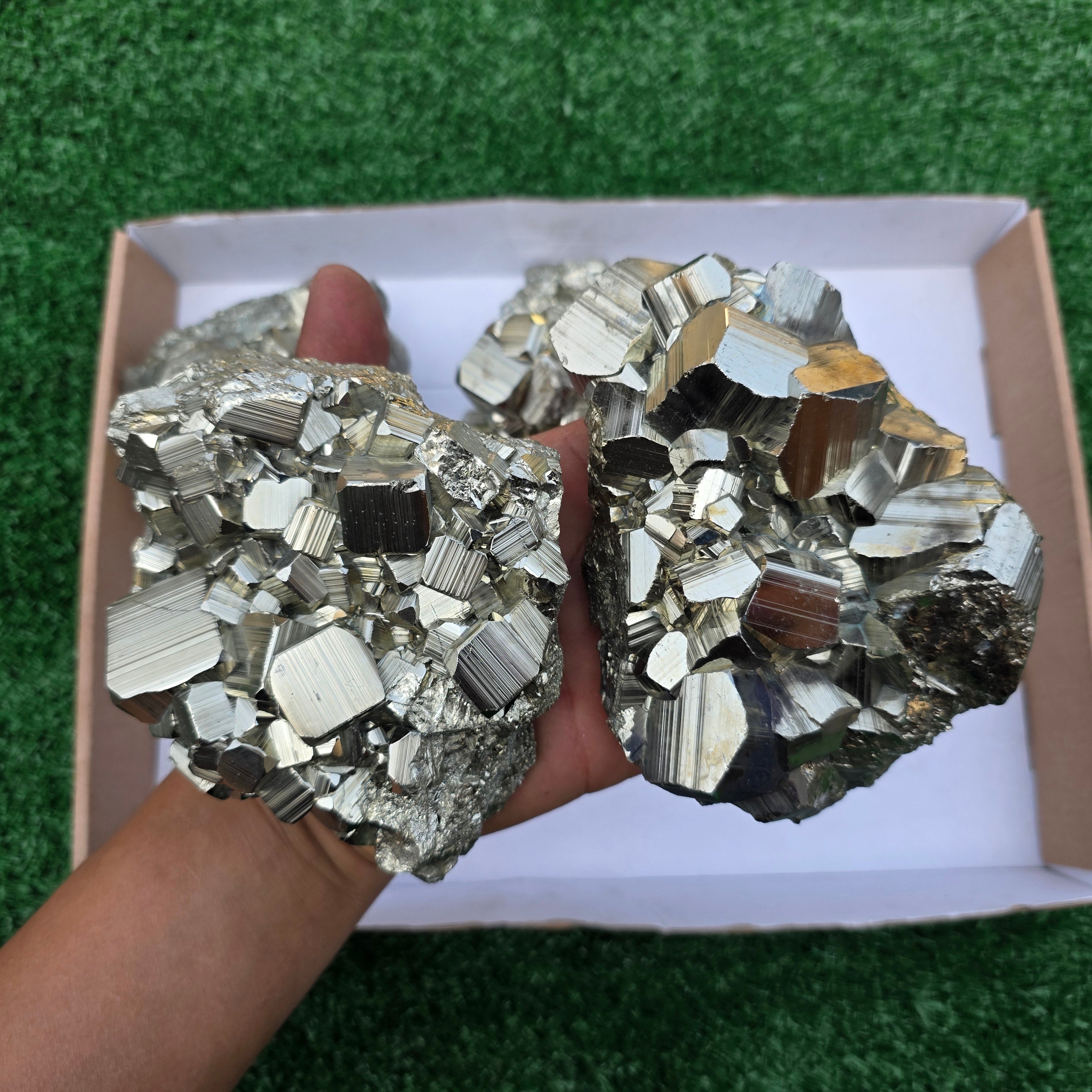 Lot 6 pcs Pyrite Coco Rough