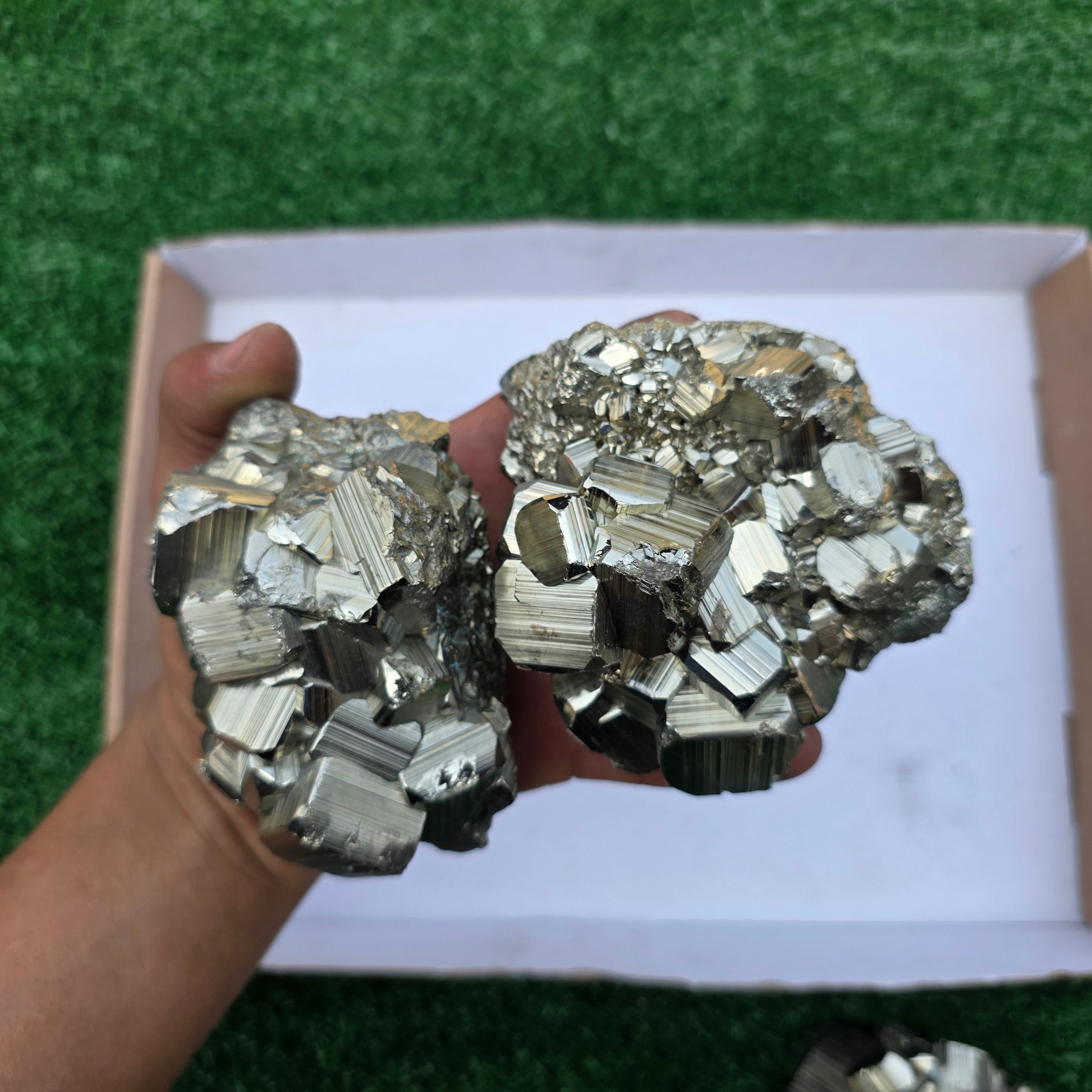 Lot 6 pcs Pyrite Coco Rough