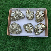 Lot 6 pcs Pyrite Coco Rough