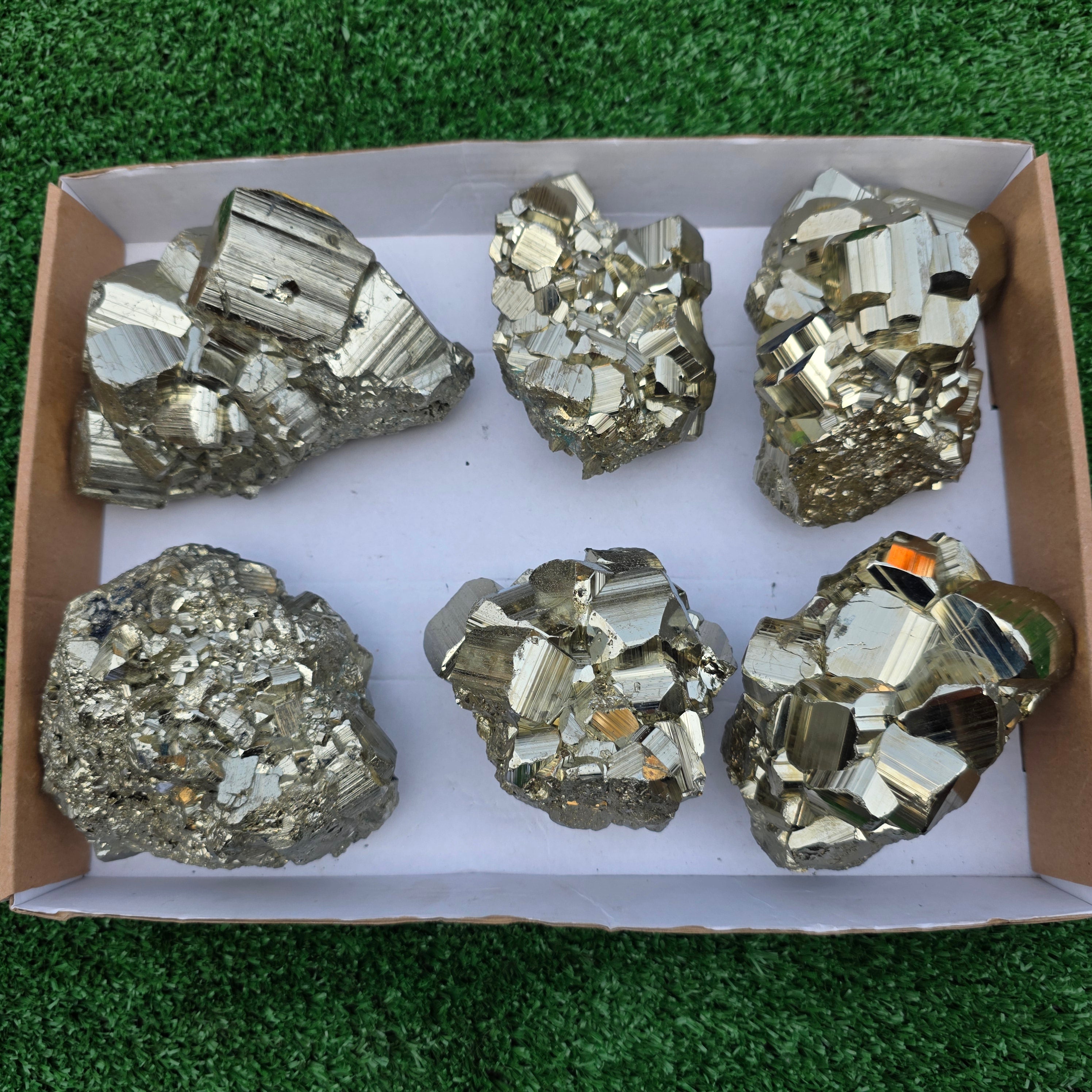 Lot 6 pcs Pyrite Coco Rough