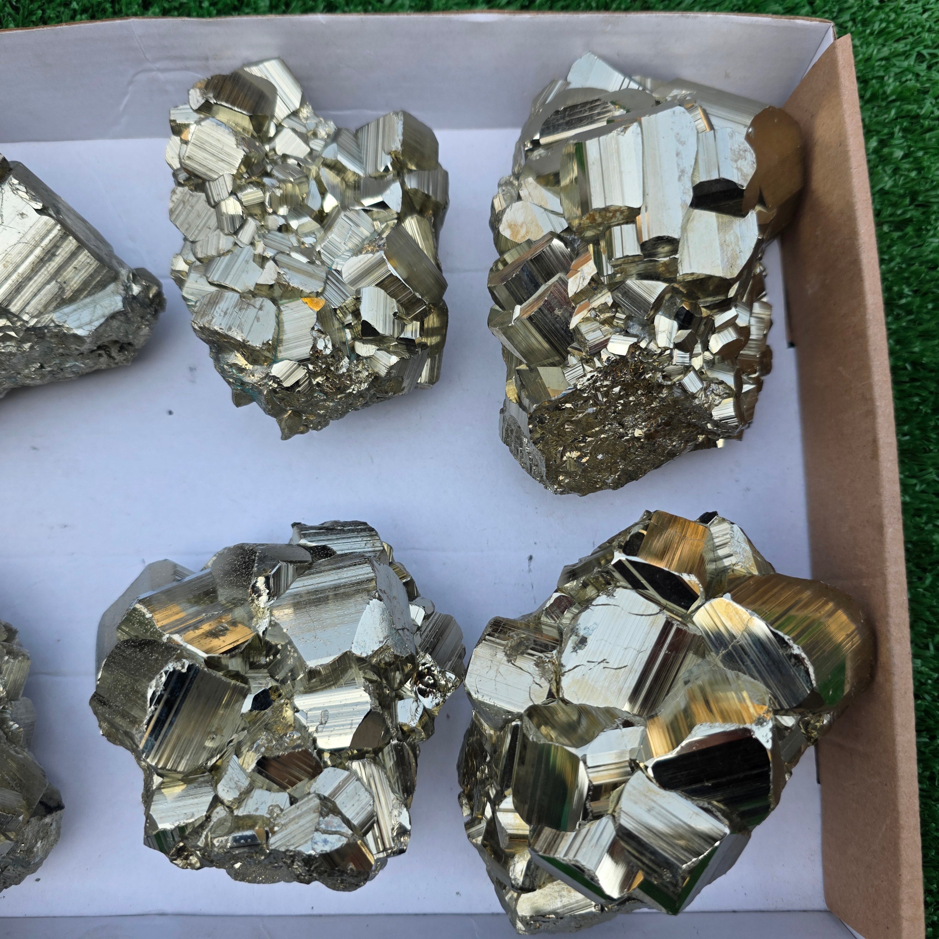 Lot 6 pcs Pyrite Coco Rough