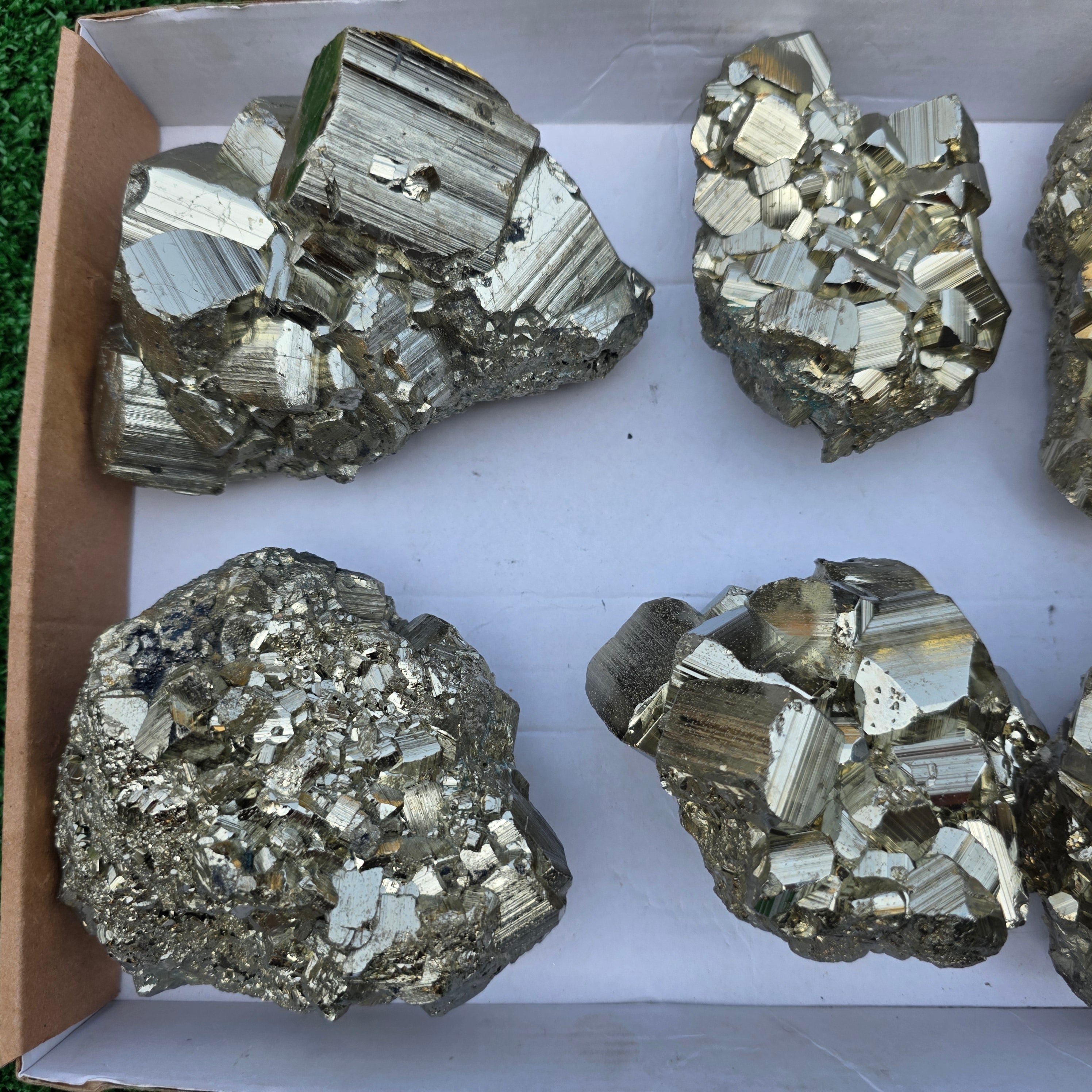 Lot 6 pcs Pyrite Coco Rough