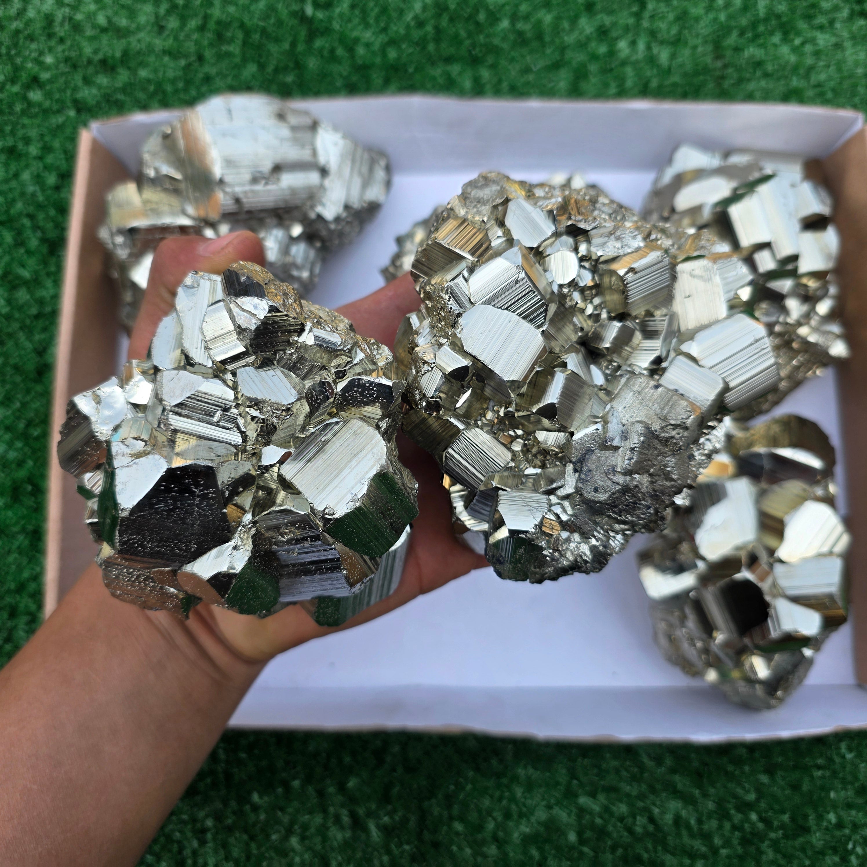Lot 6 pcs Pyrite Coco Rough