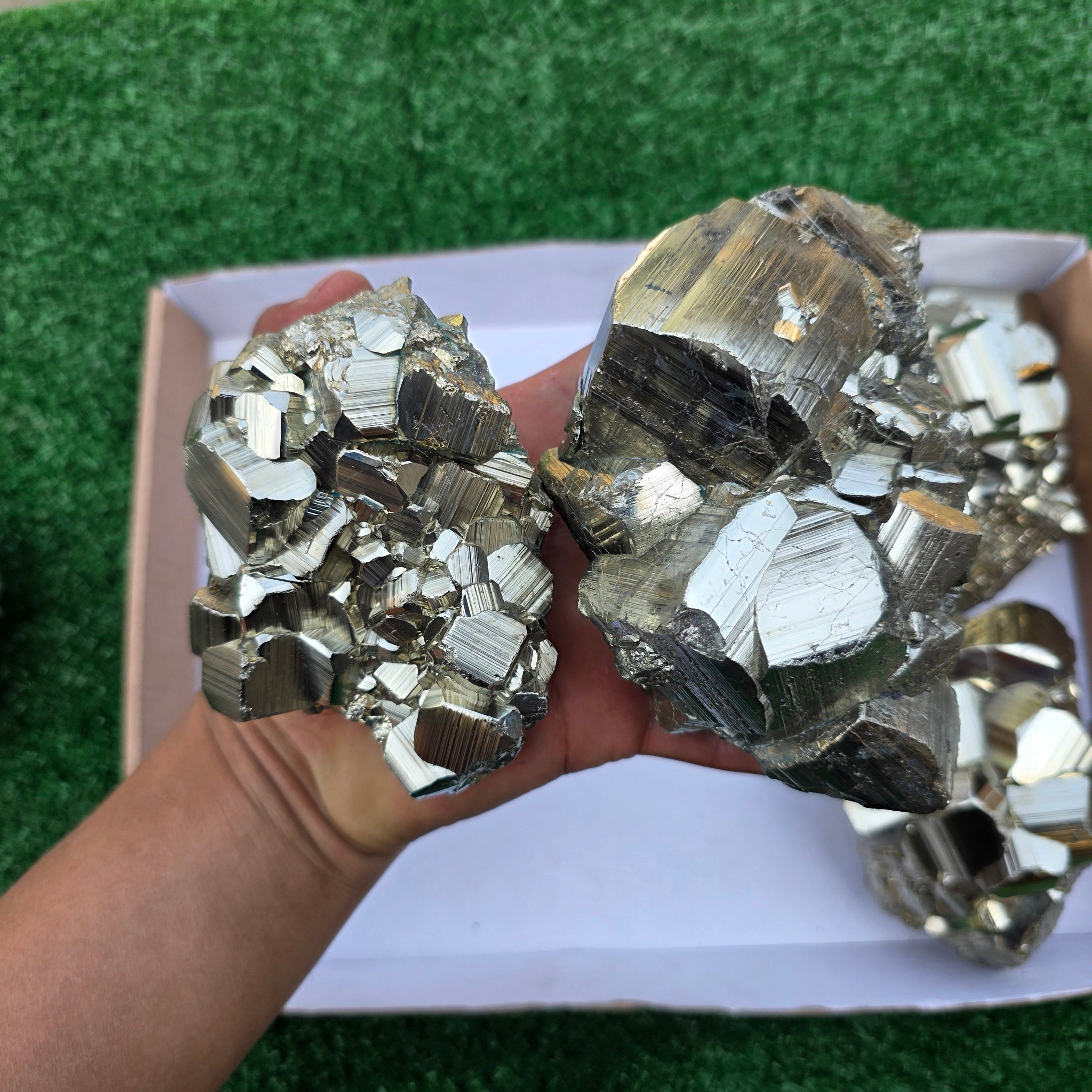 Lot 6 pcs Pyrite Coco Rough