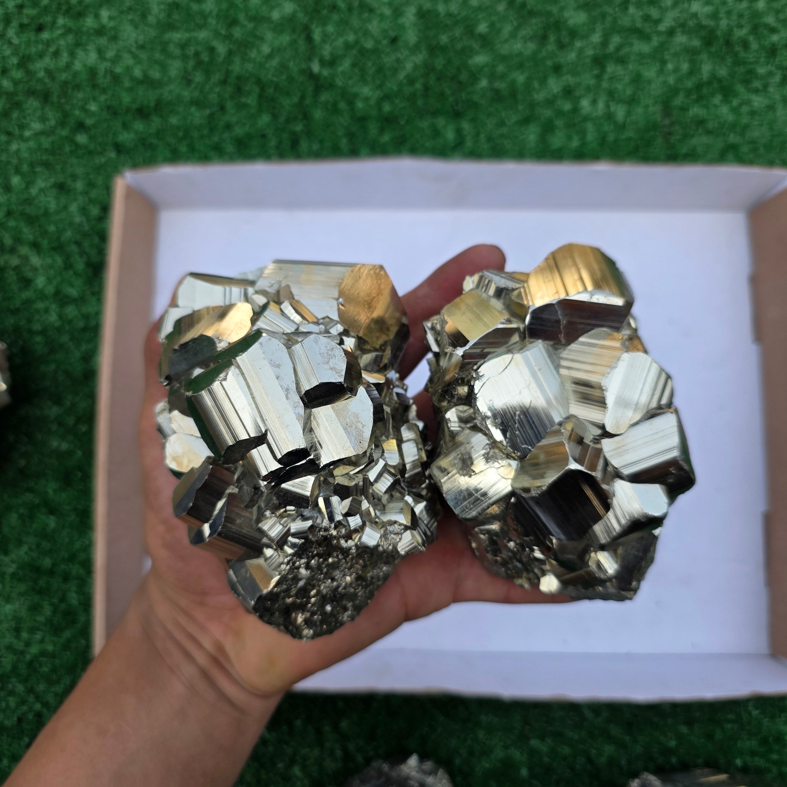 Lot 6 pcs Pyrite Coco Rough