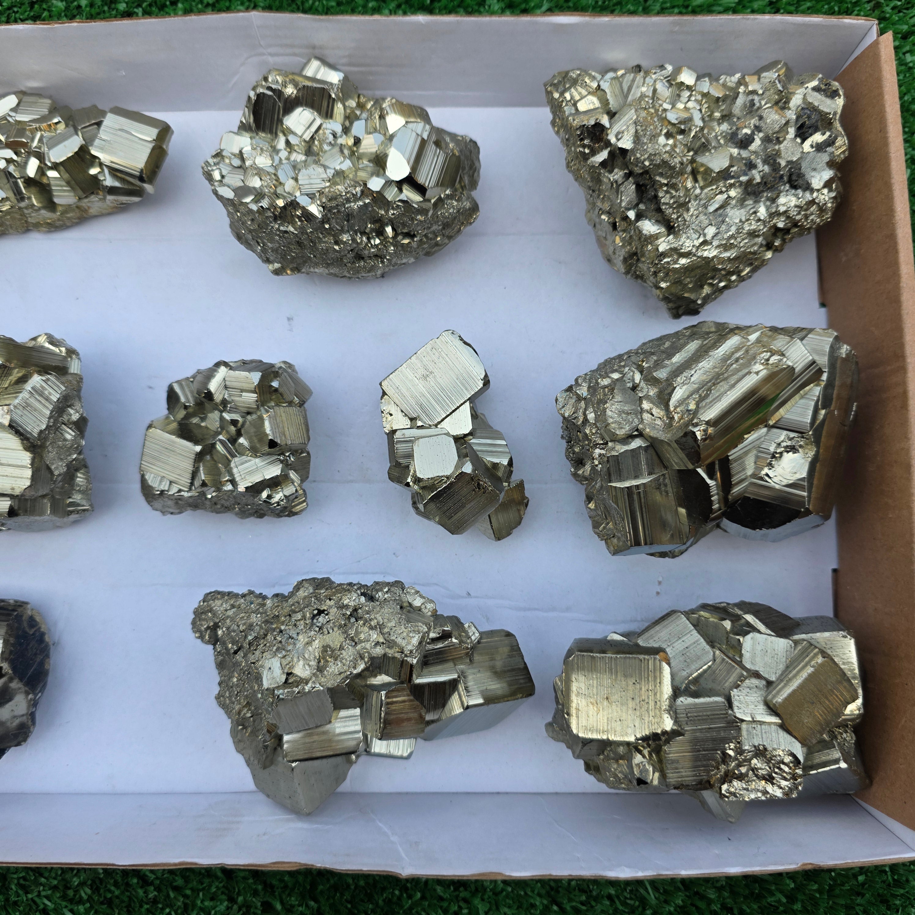 Lot 10 pcs Pyrite Coco Rough