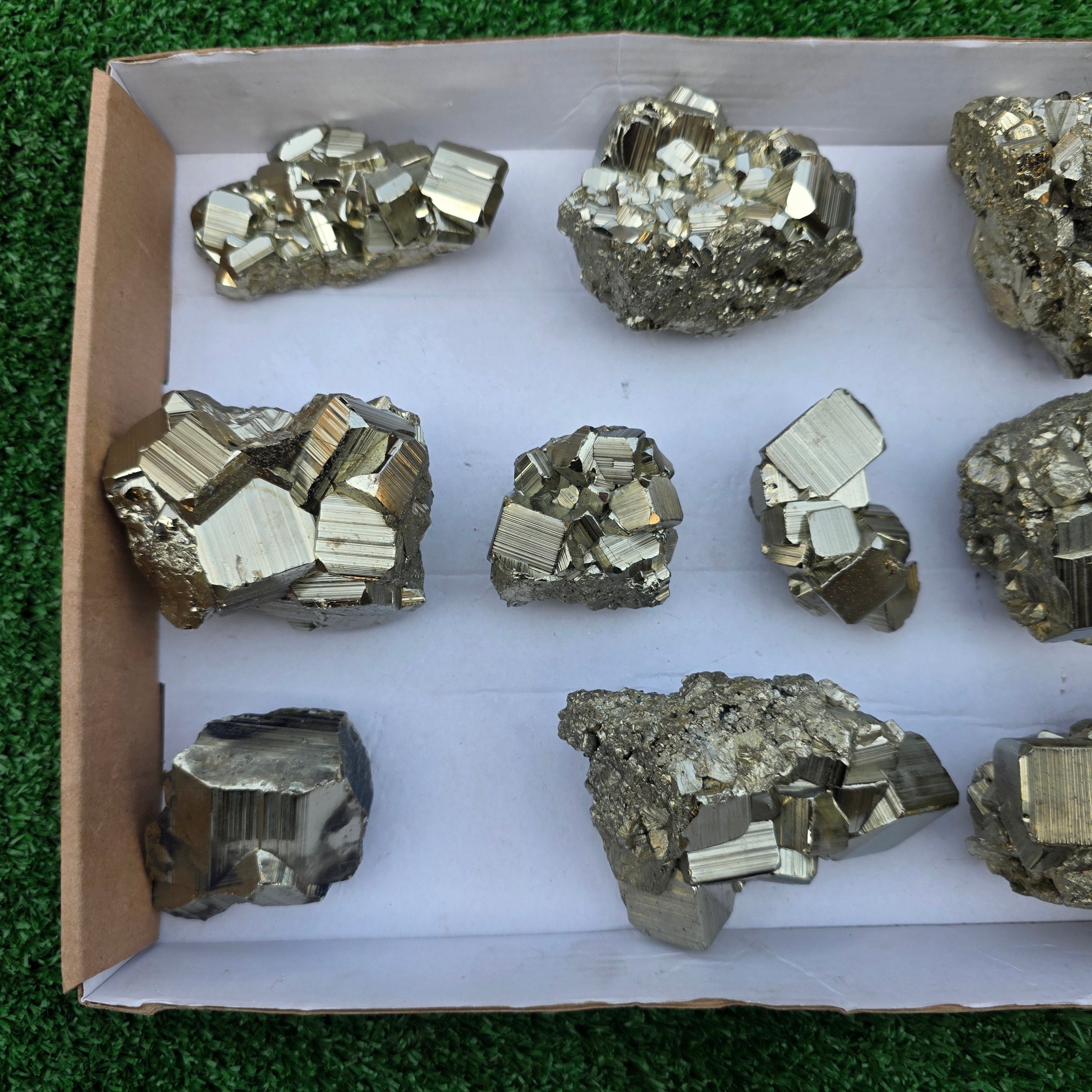 Lot 10 pcs Pyrite Coco Rough