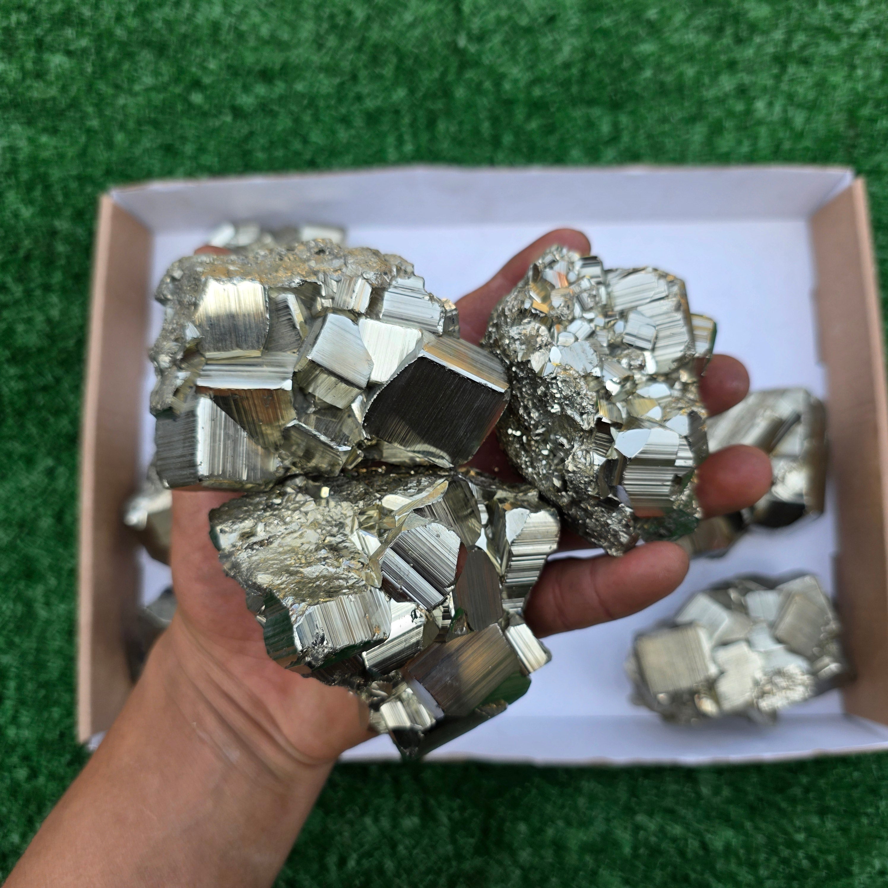 Lot 10 pcs Pyrite Coco Rough