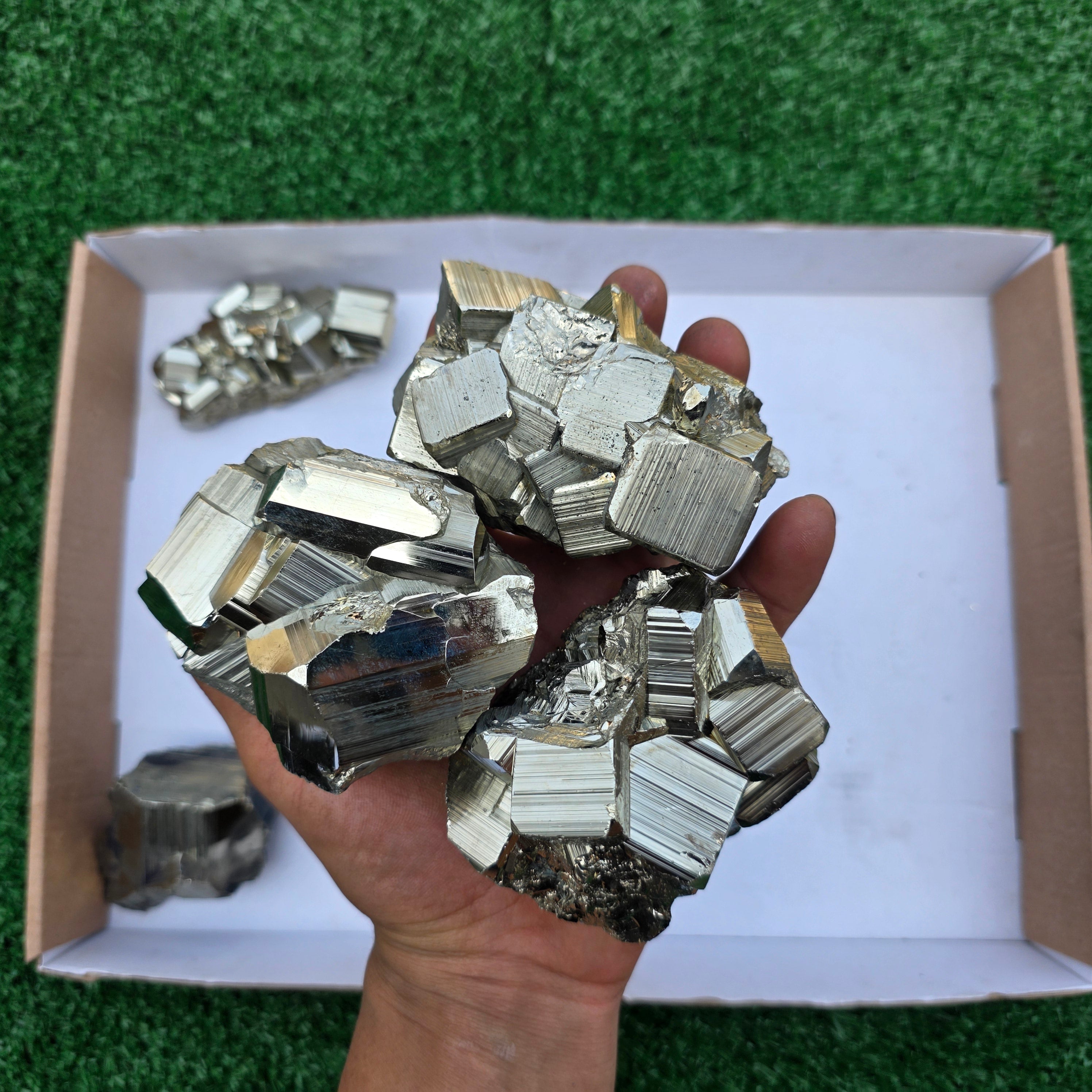 Lot 10 pcs Pyrite Coco Rough