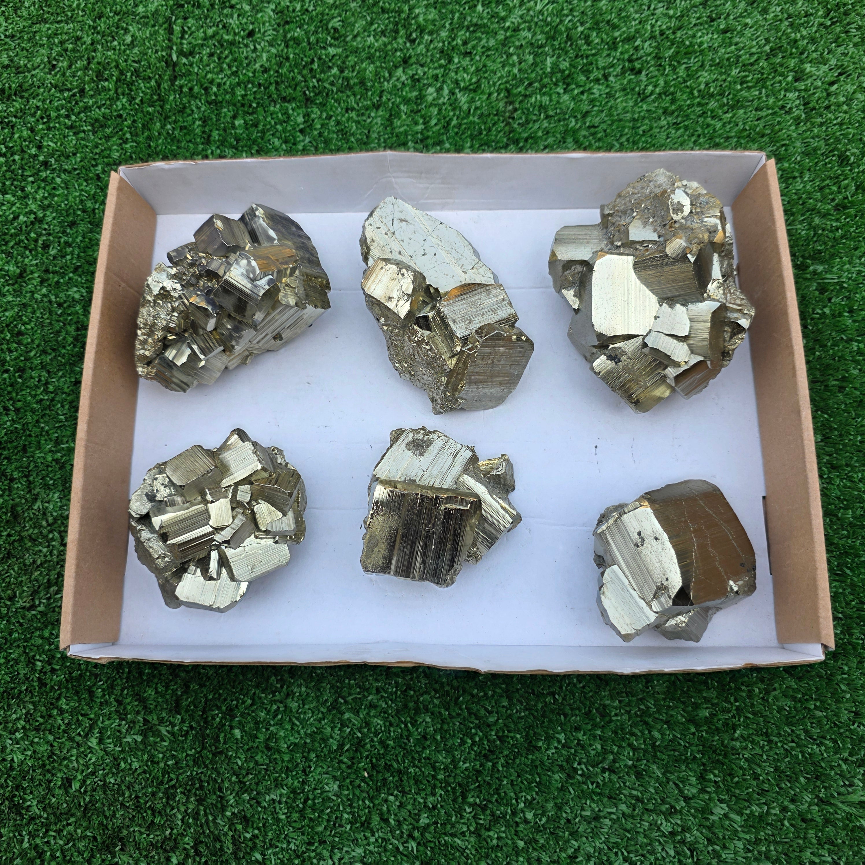 Lot 6 pcs Pyrite Coco Rough