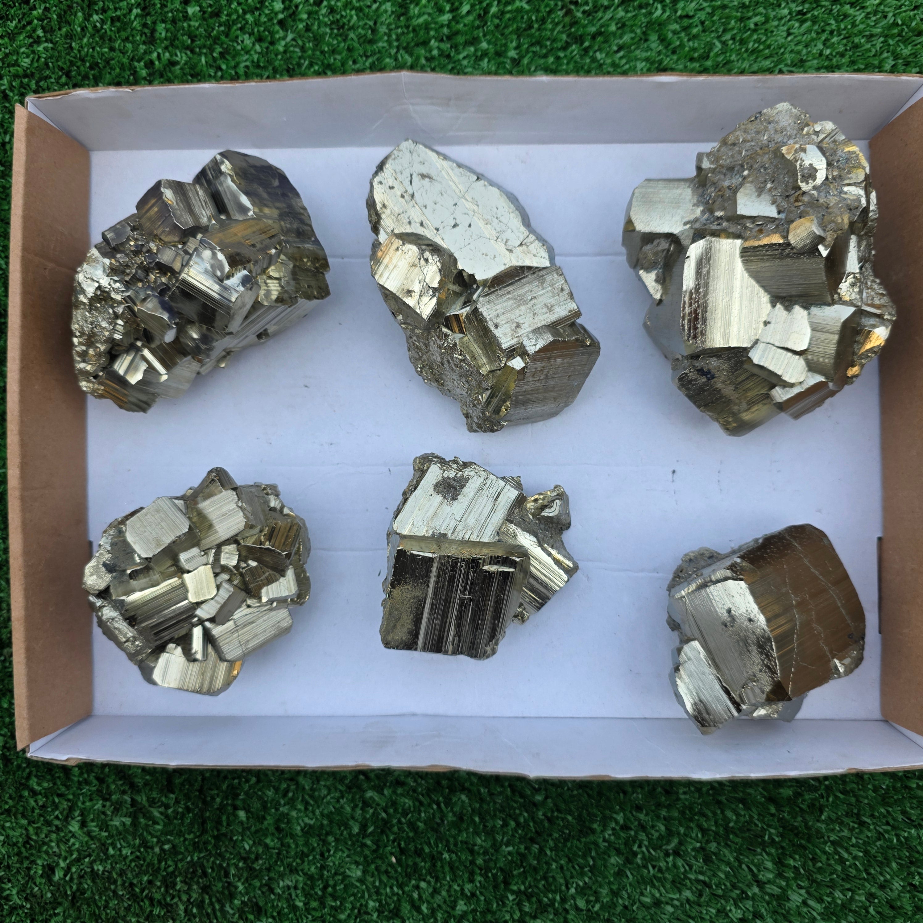 Lot 6 pcs Pyrite Coco Rough
