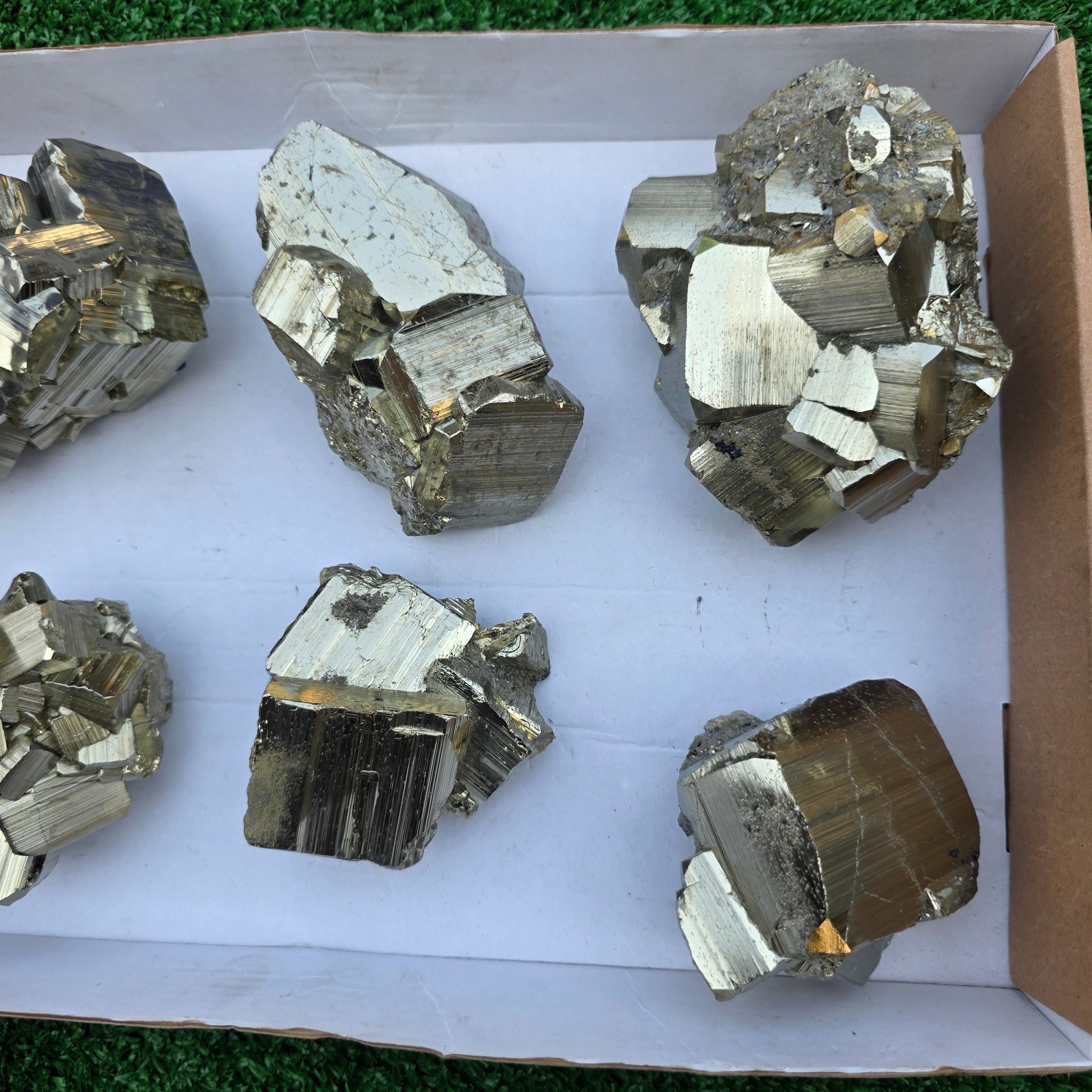 Lot 6 pcs Pyrite Coco Rough