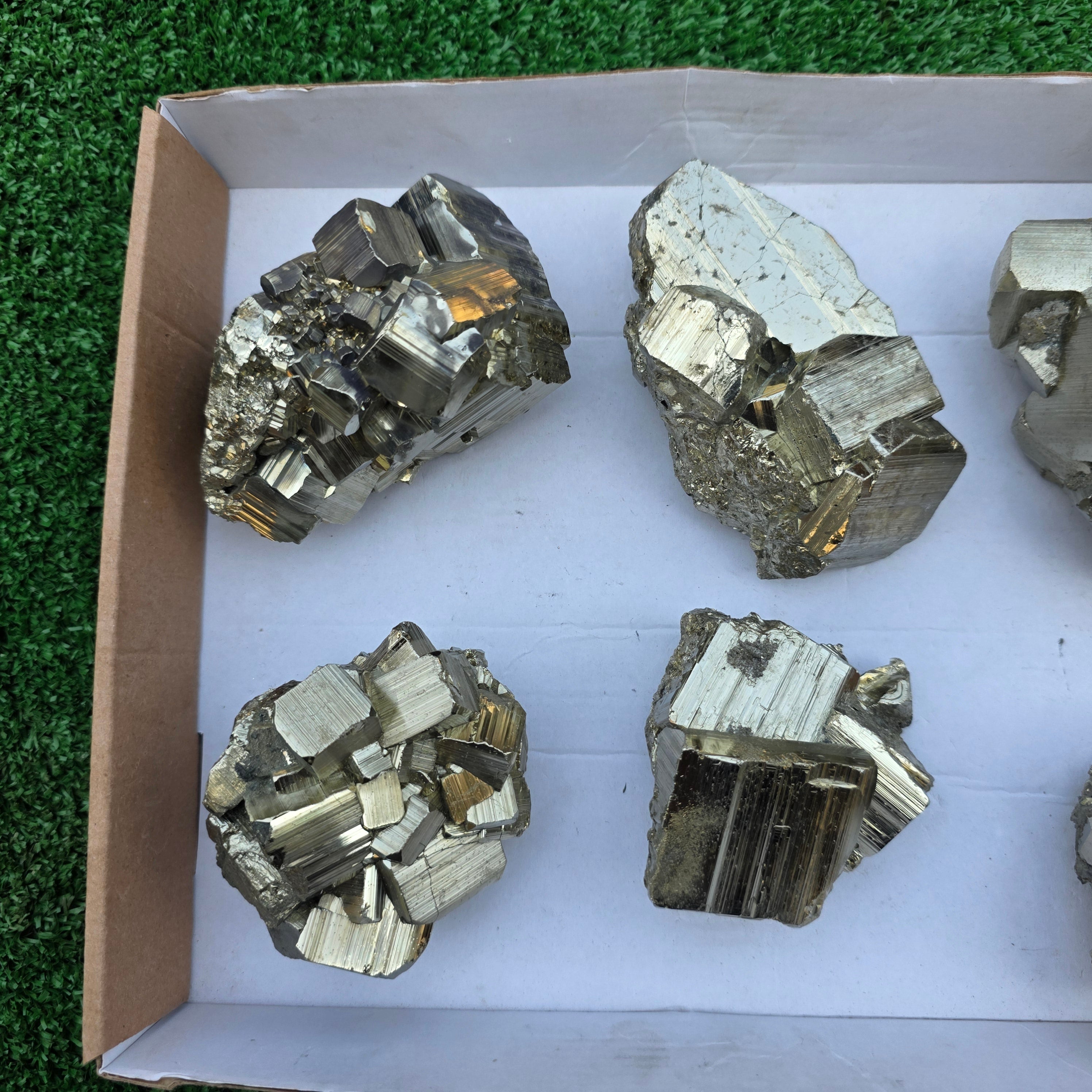 Lot 6 pcs Pyrite Coco Rough