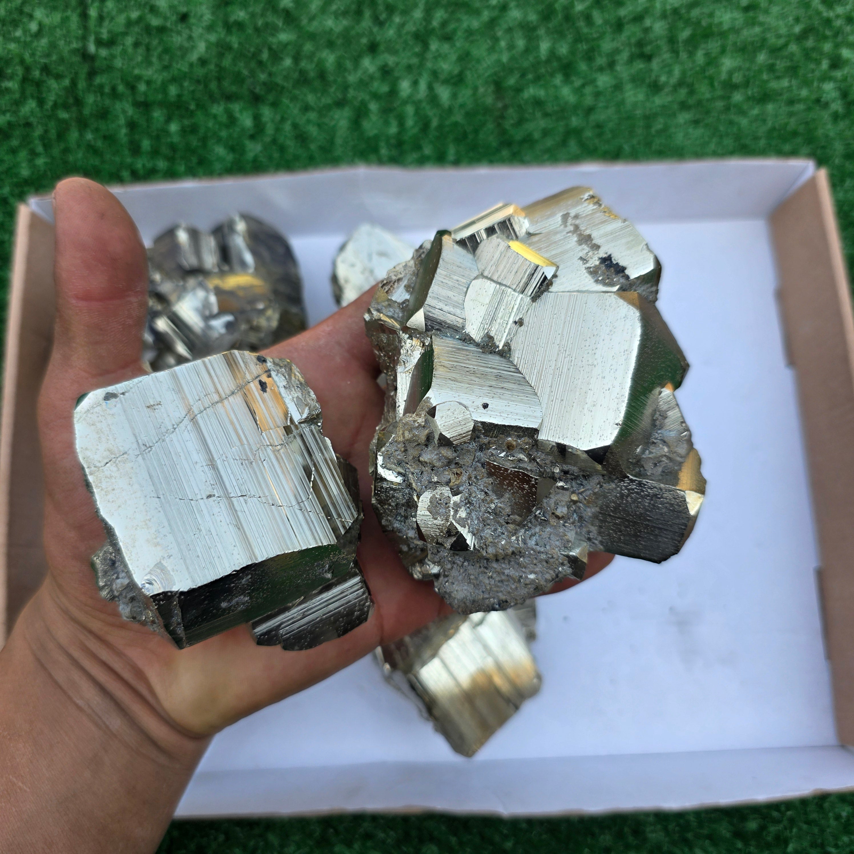 Lot 6 pcs Pyrite Coco Rough