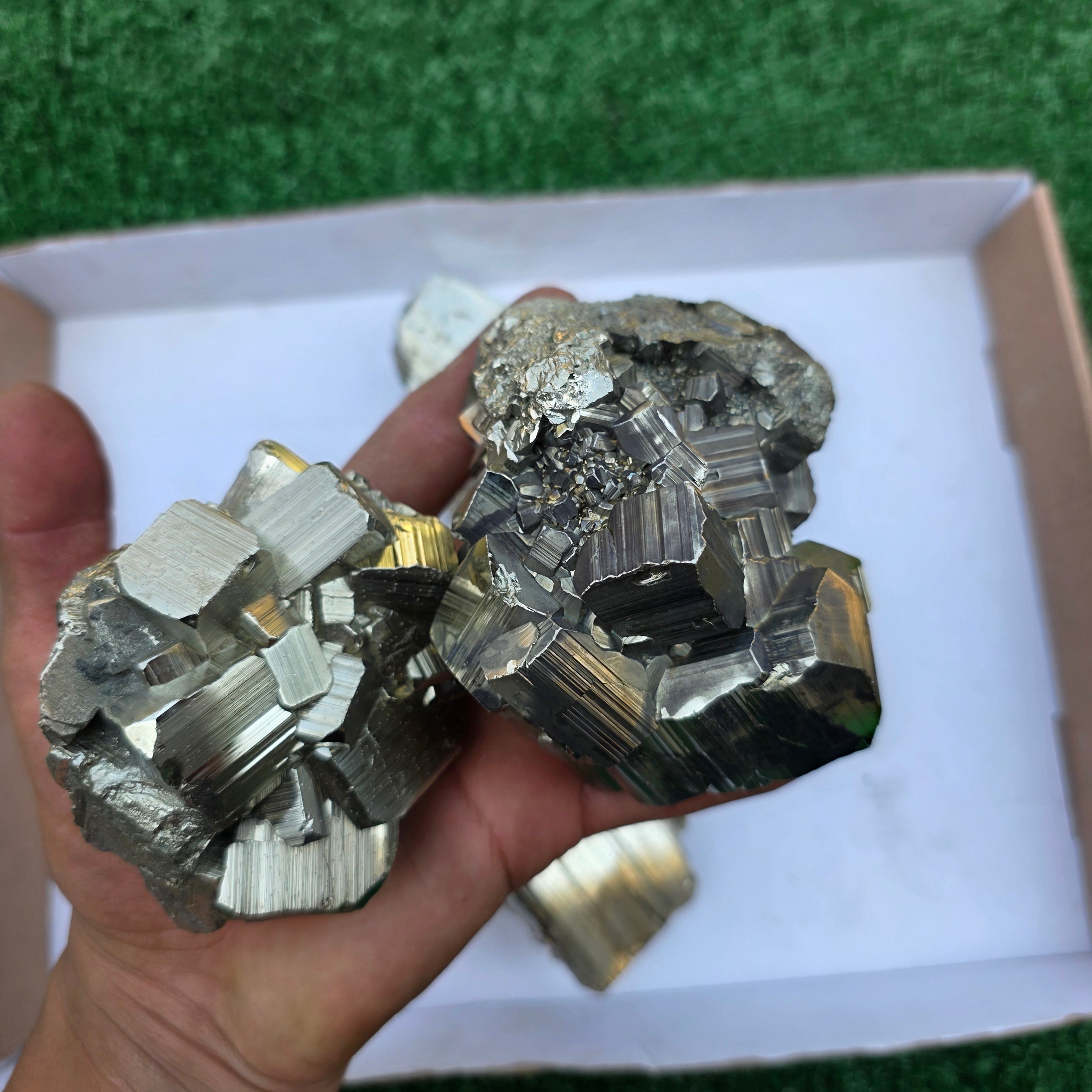 Lot 6 pcs Pyrite Coco Rough