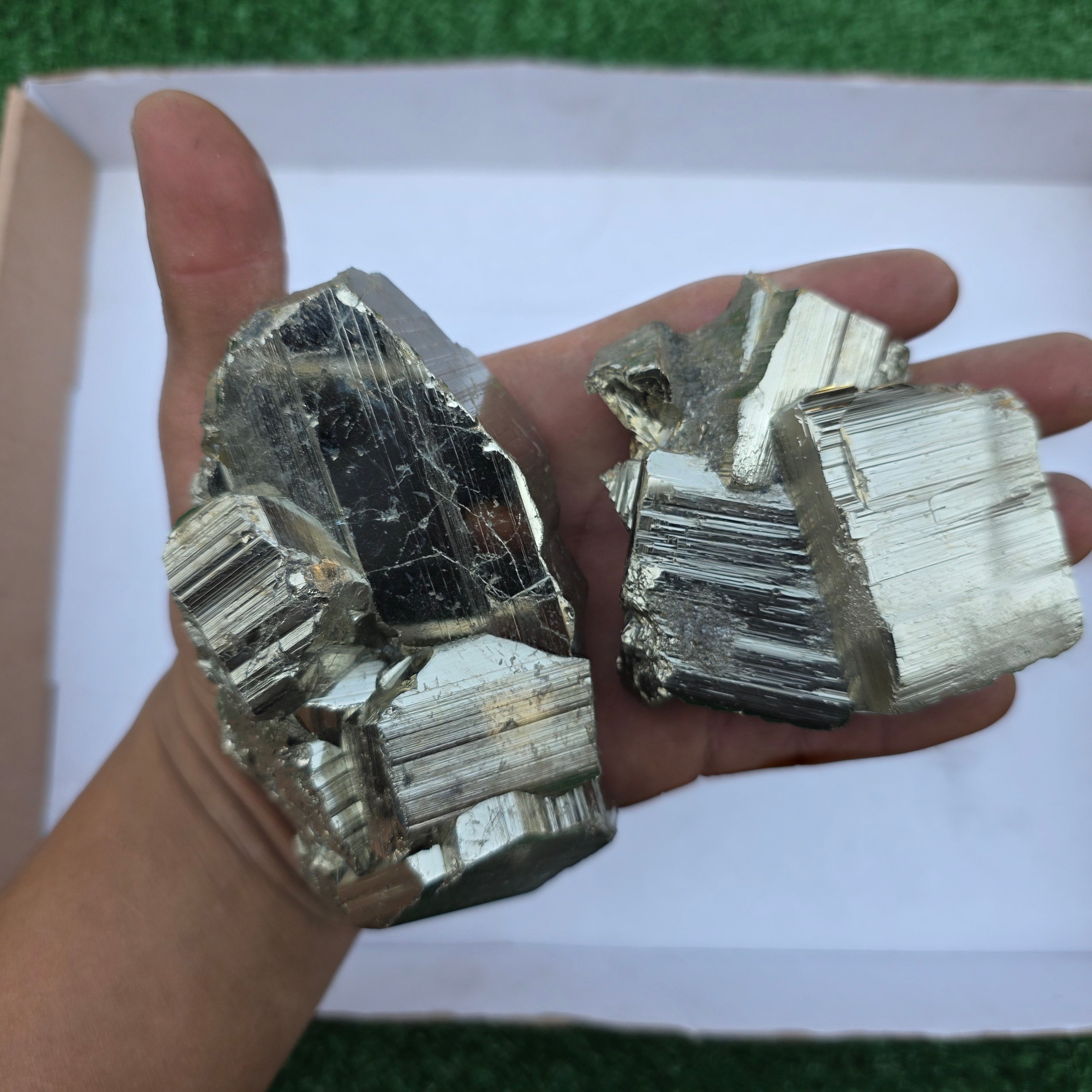 Lot 6 pcs Pyrite Coco Rough