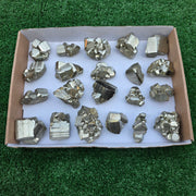 Lot 21 pcs Pyrite Coco Rough